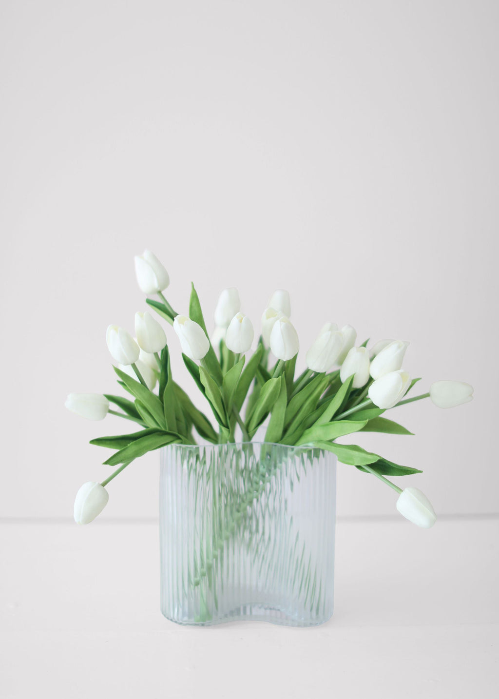 White Tulip for Home Styling