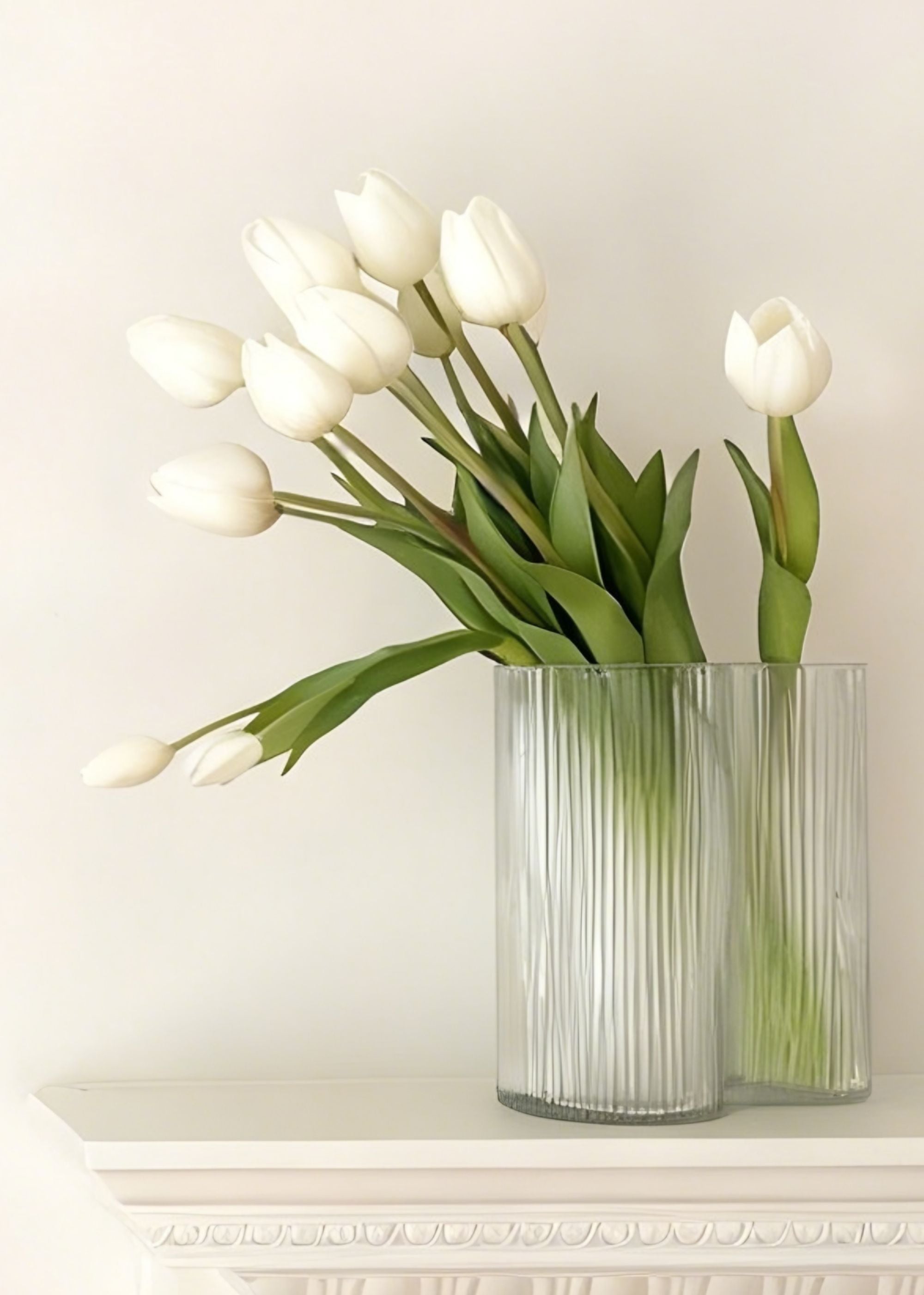 White Tulip for Home Styling