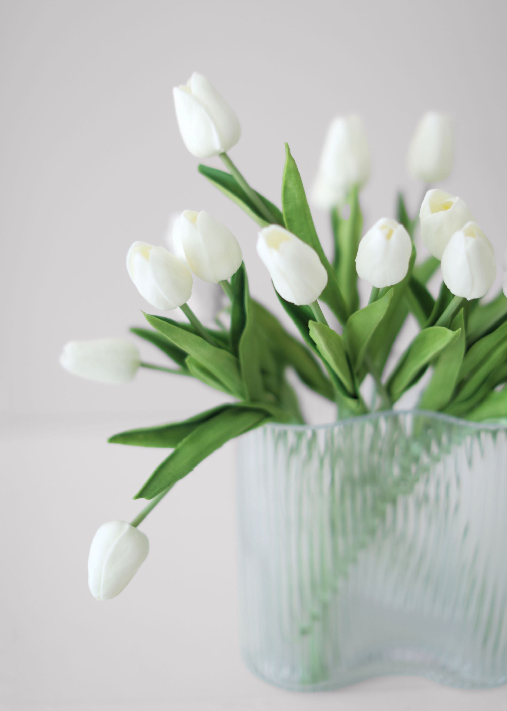 White Tulip for Home Styling