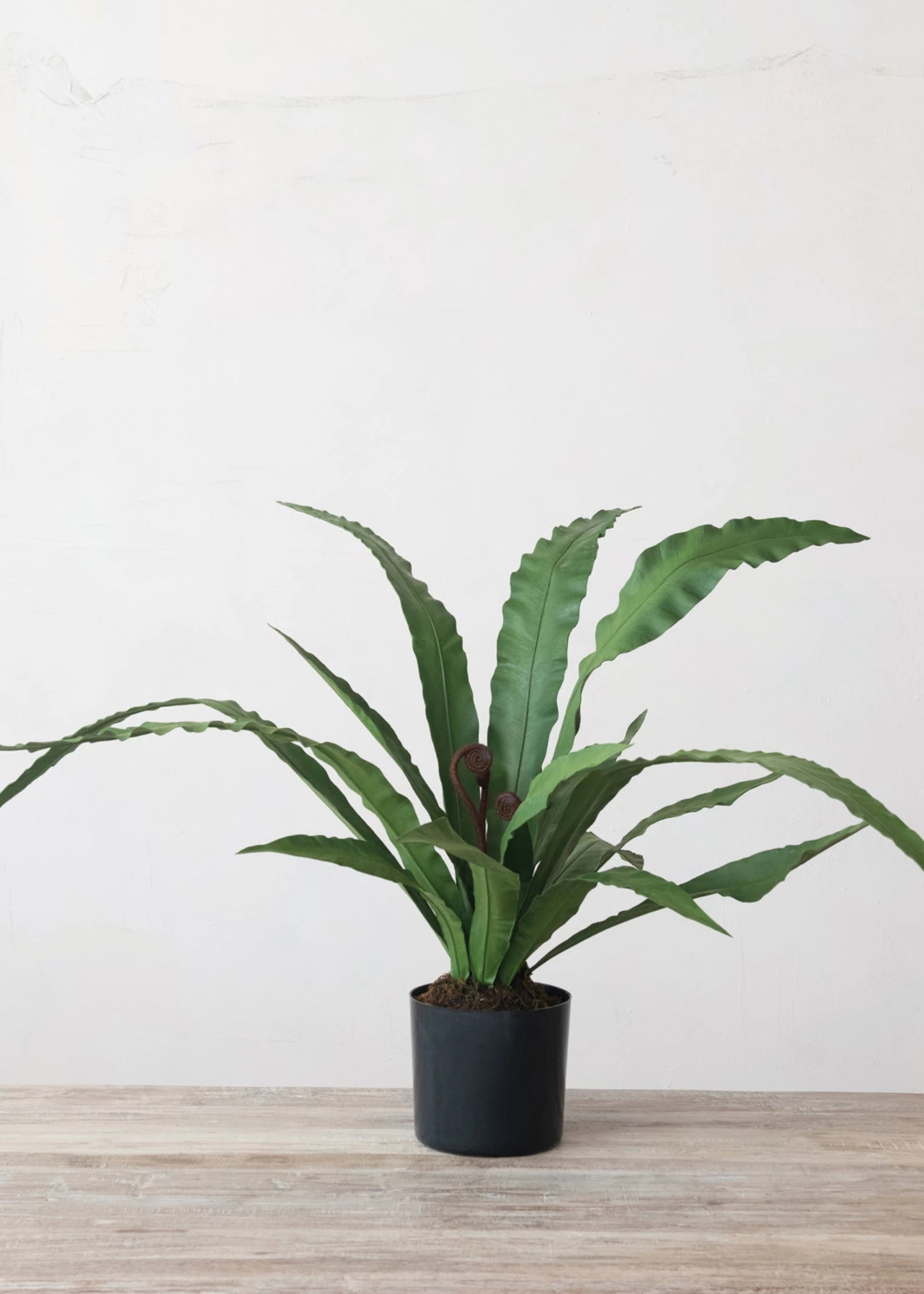 Faux Fern Arrangement for Home Decor
