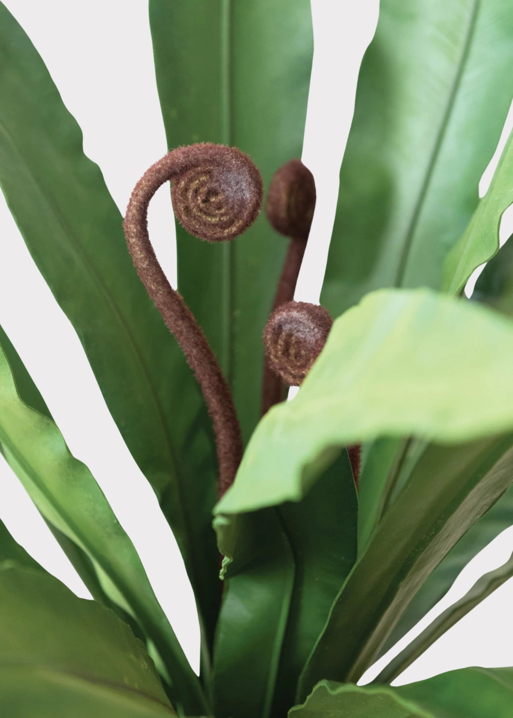 Faux Fern Arrangement for Home Decor