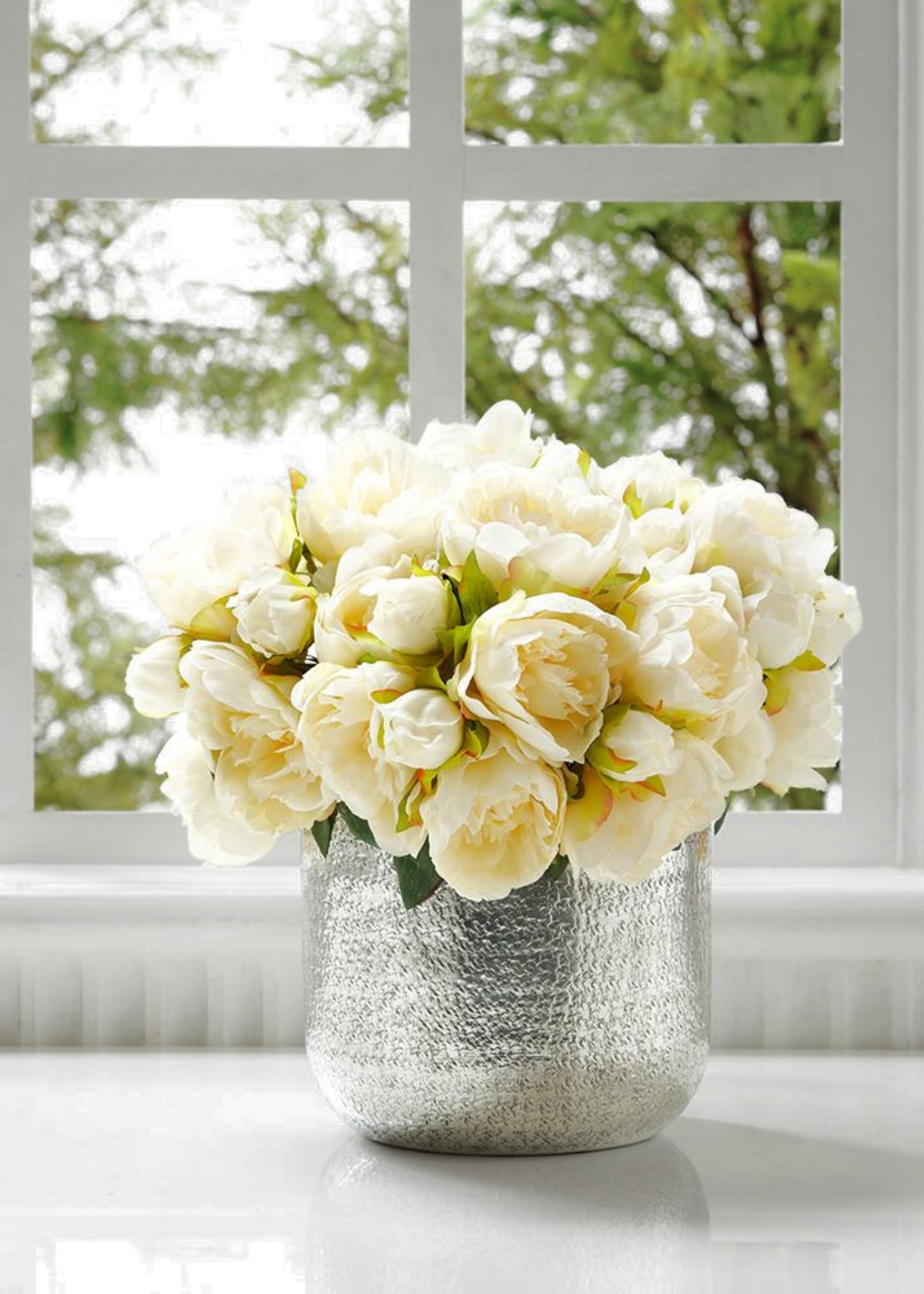 Cream Peony for Home Styling
