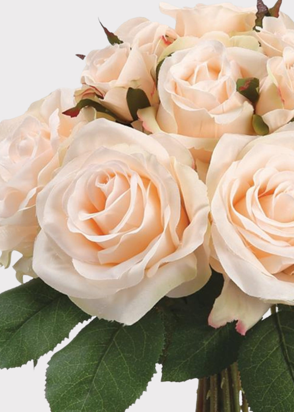Peach Rose for Home Styling