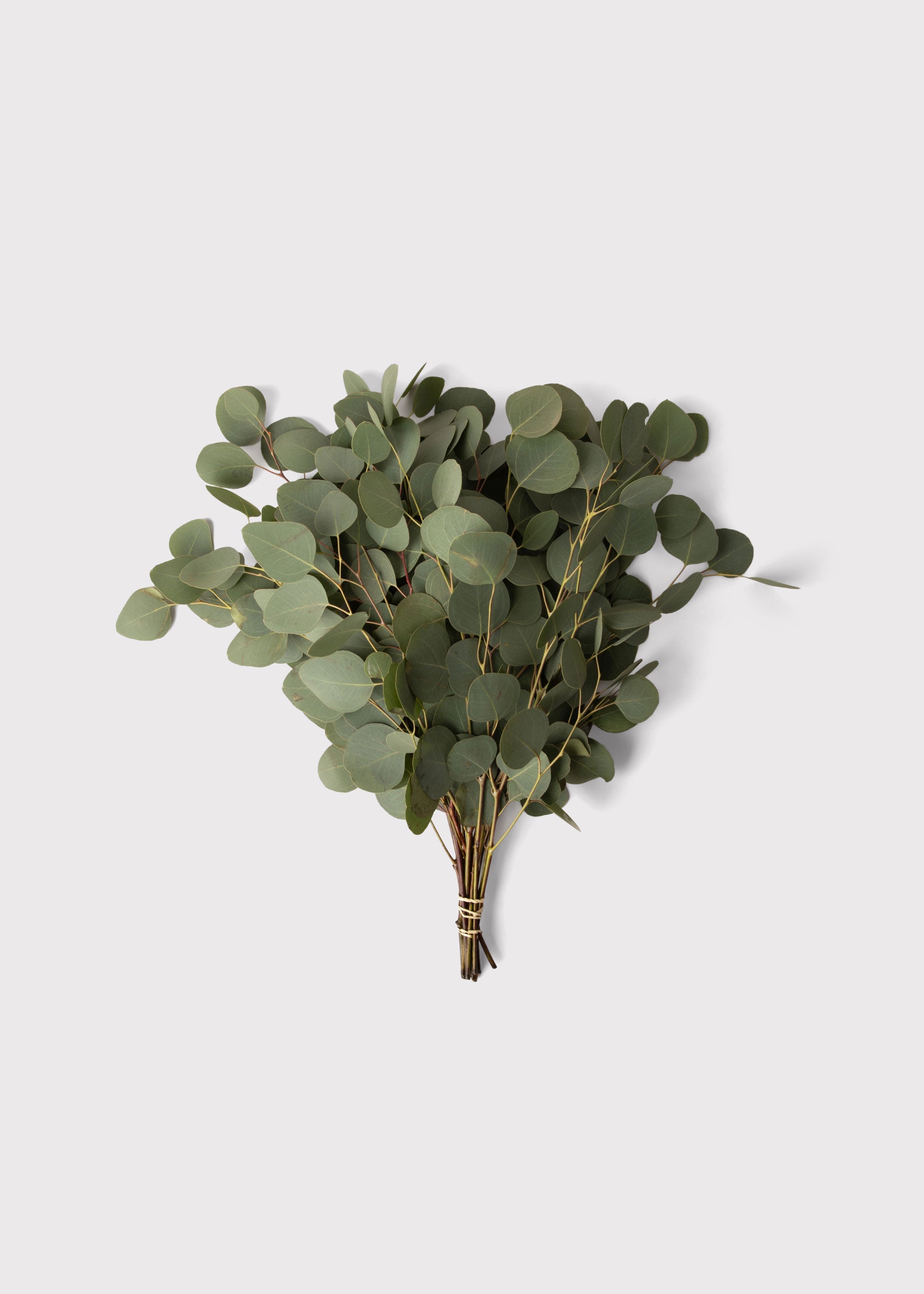 Silver Faux Eucalyptus Bundle for Vase Styling