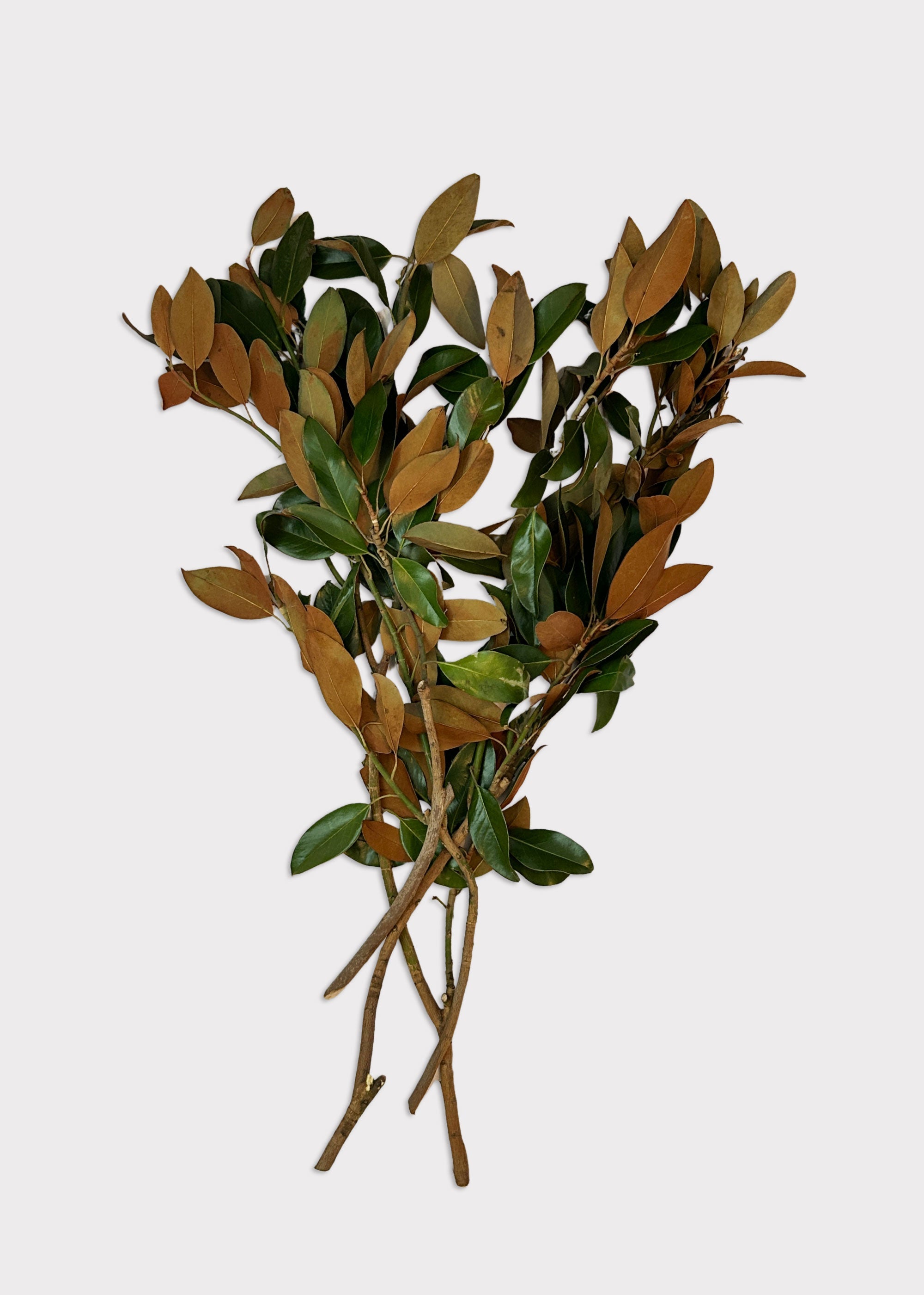 Faux Magnolia Branch for Vase Styling