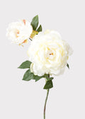 Cream Faux Peony Stem for Vase and Wedding Styling