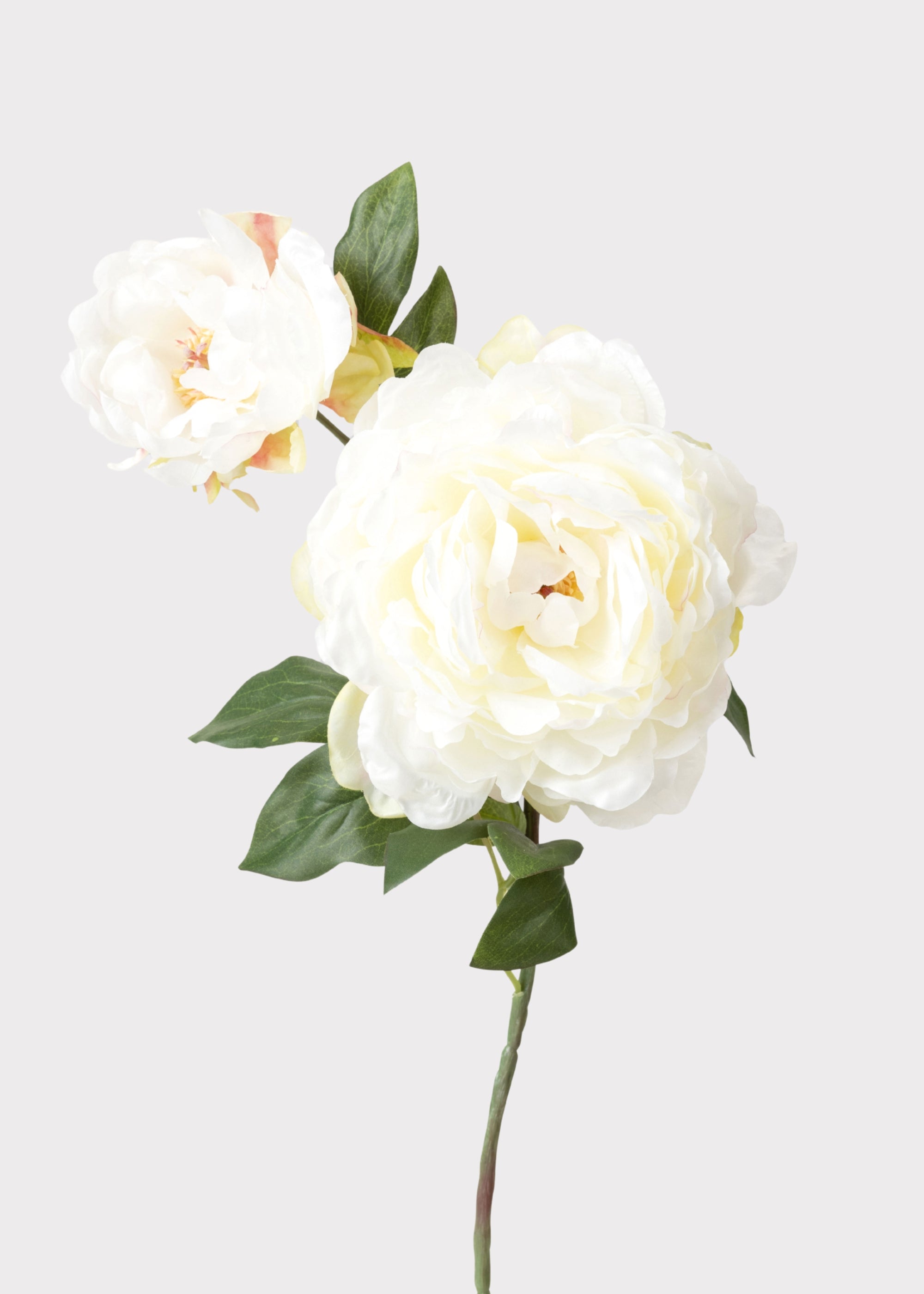 Cream Faux Peony Stem for Vase and Wedding Styling
