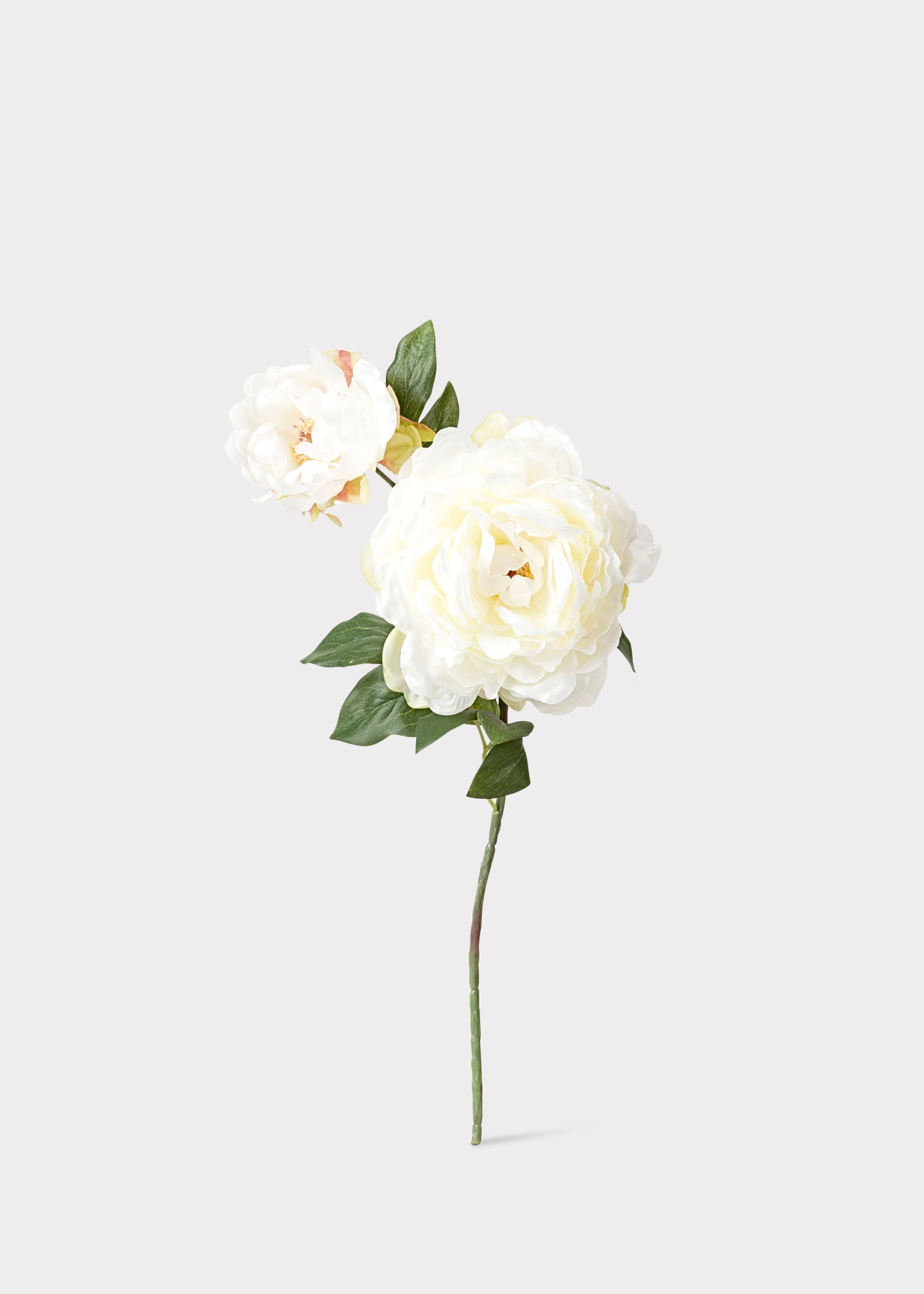 Cream Faux Peony Stem for Vase and Wedding Styling