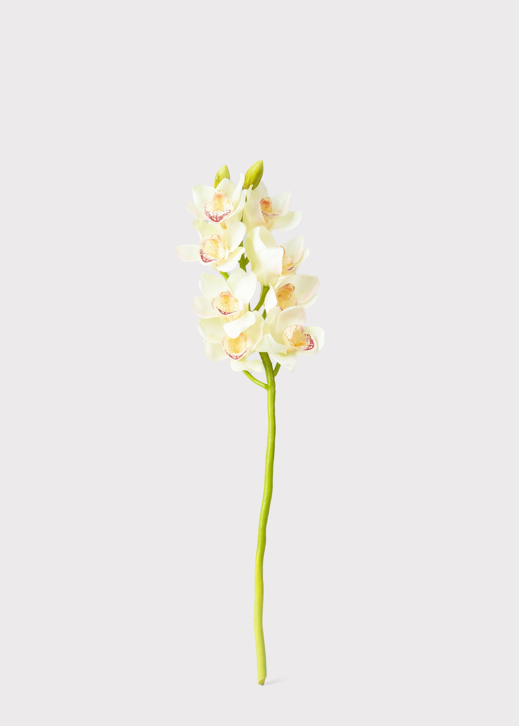 Burgundy Faux Orchid Stem for Vase and Wedding Styling