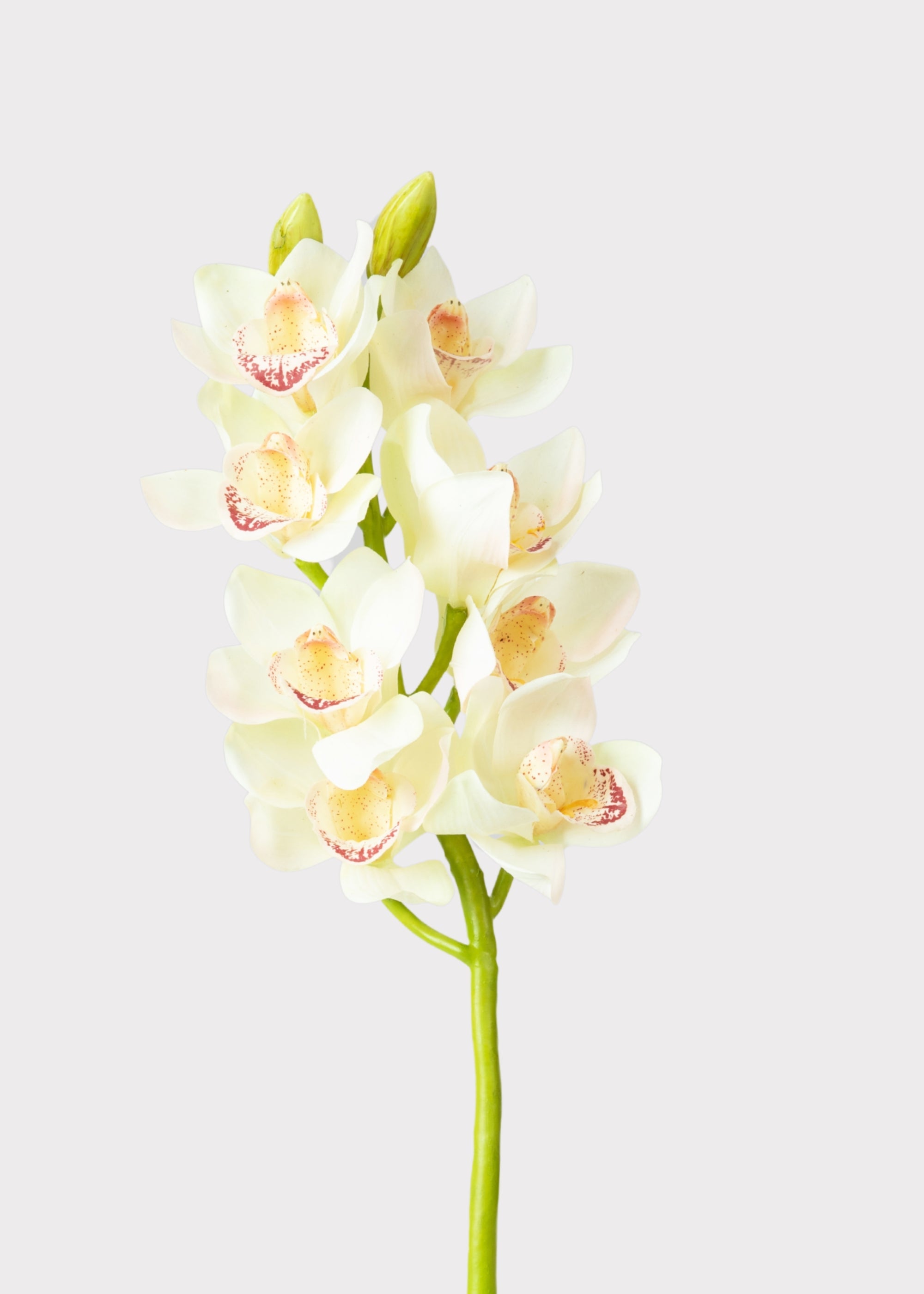 Burgundy Faux Orchid Stem for Vase and Wedding Styling