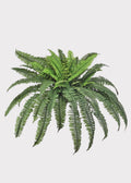 Faux Fern Bush for Vase Styling