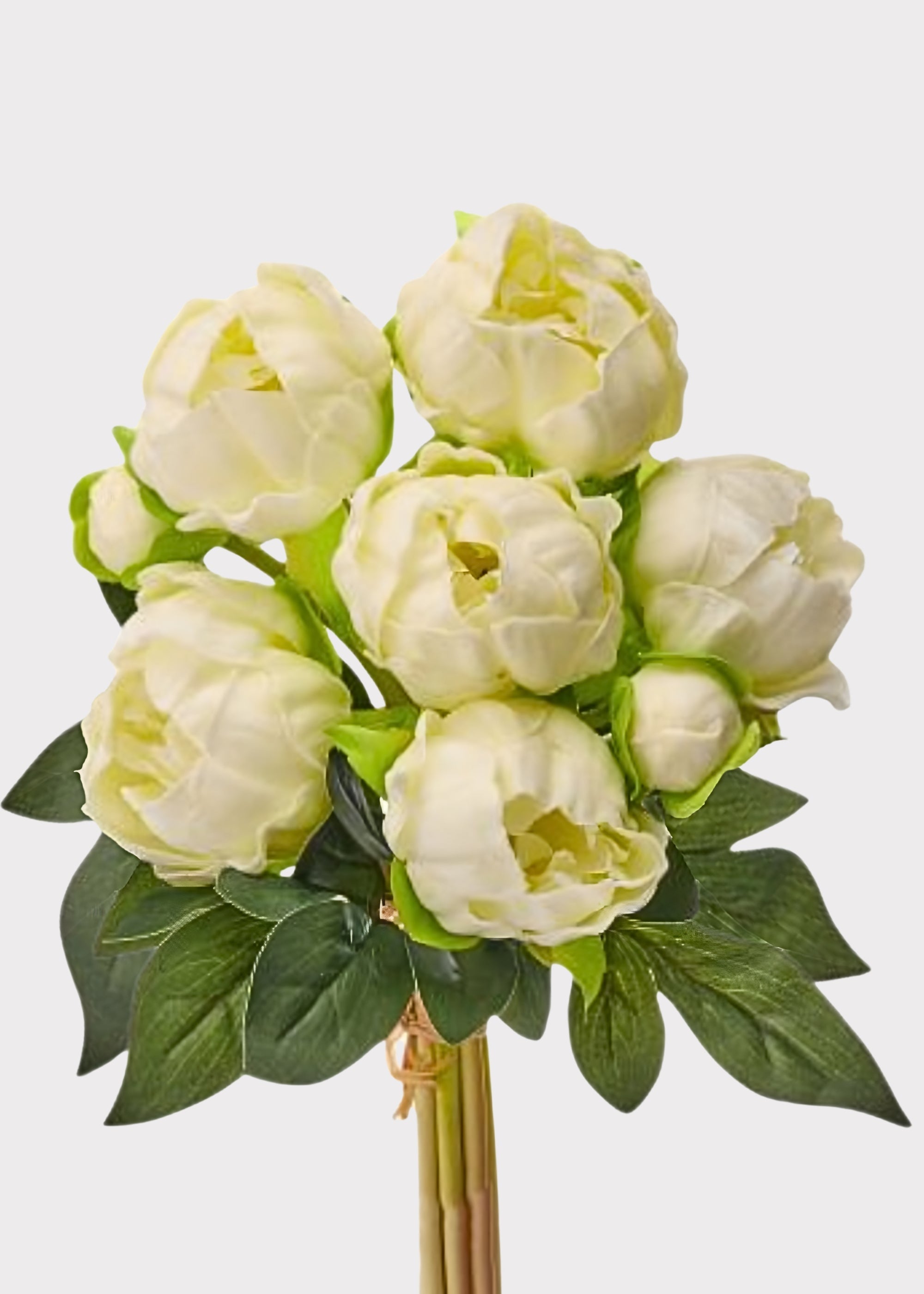 Cream Real Touch Peony Bundle for Vase Styling