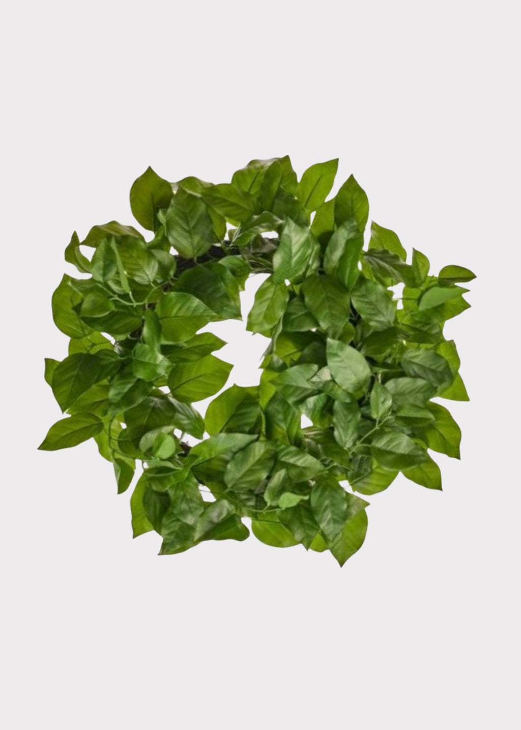 Real Touch Uv Treated Indoor/outdoor Salal Leaf Wreath for Door and Wall Decor
