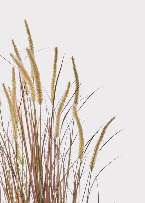 Brown Faux Grass Arrangement for Home Decor