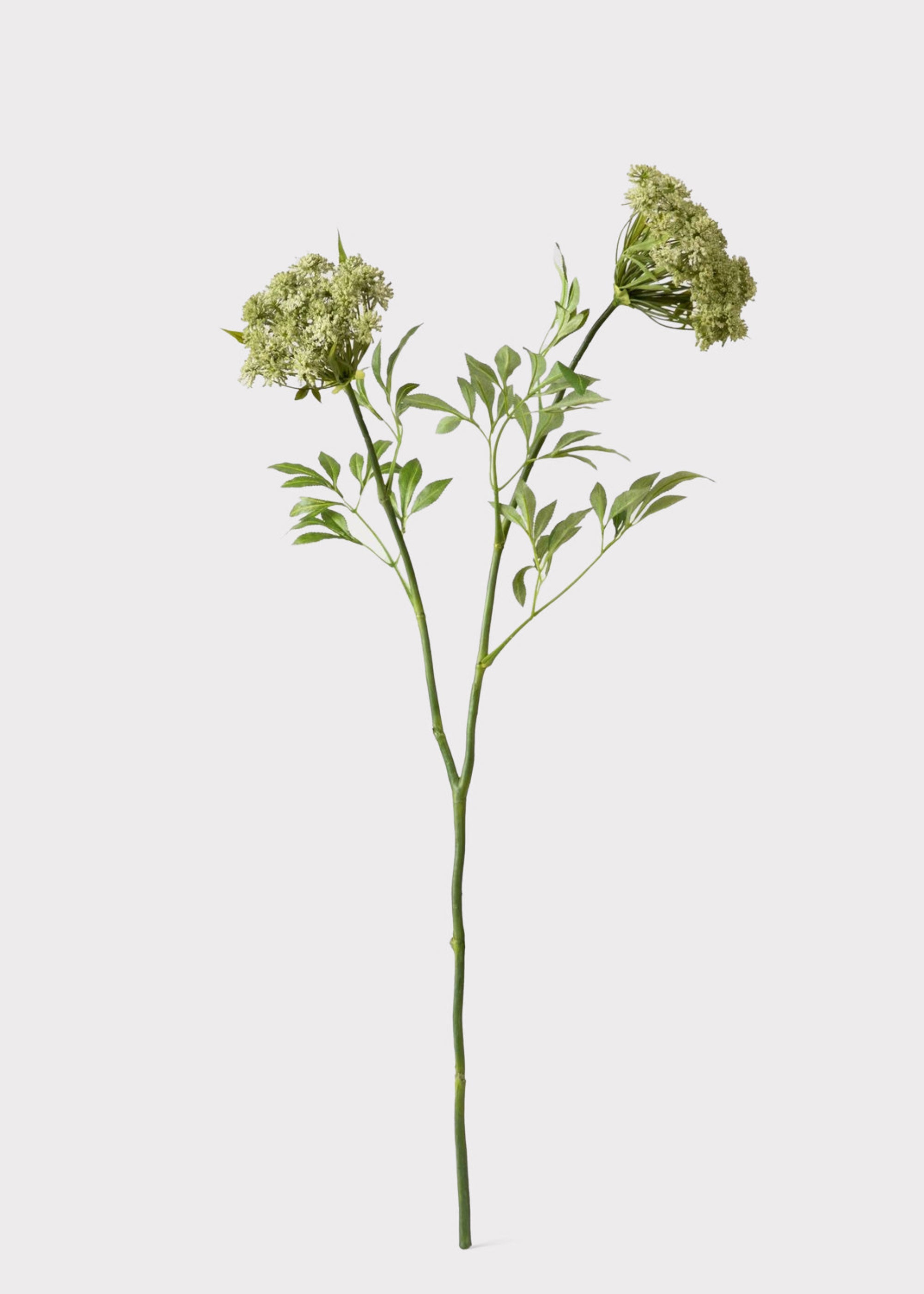 Faux Save - Queen Anne's Lace Wildflowers Stem for Vase Styling