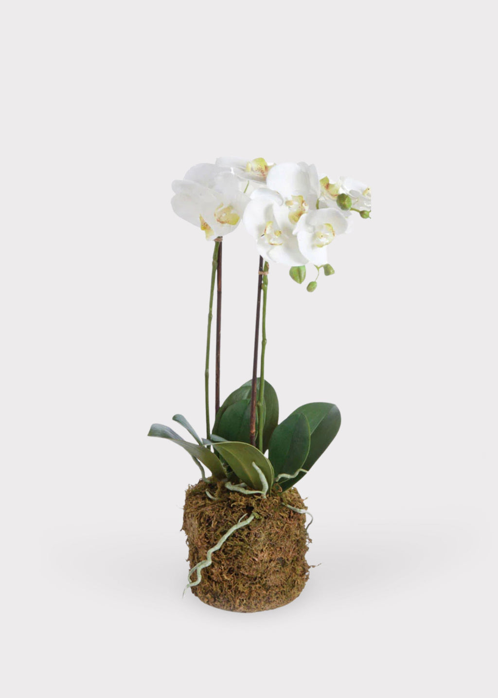 White Faux Orchid Plant for Planters and Shelves