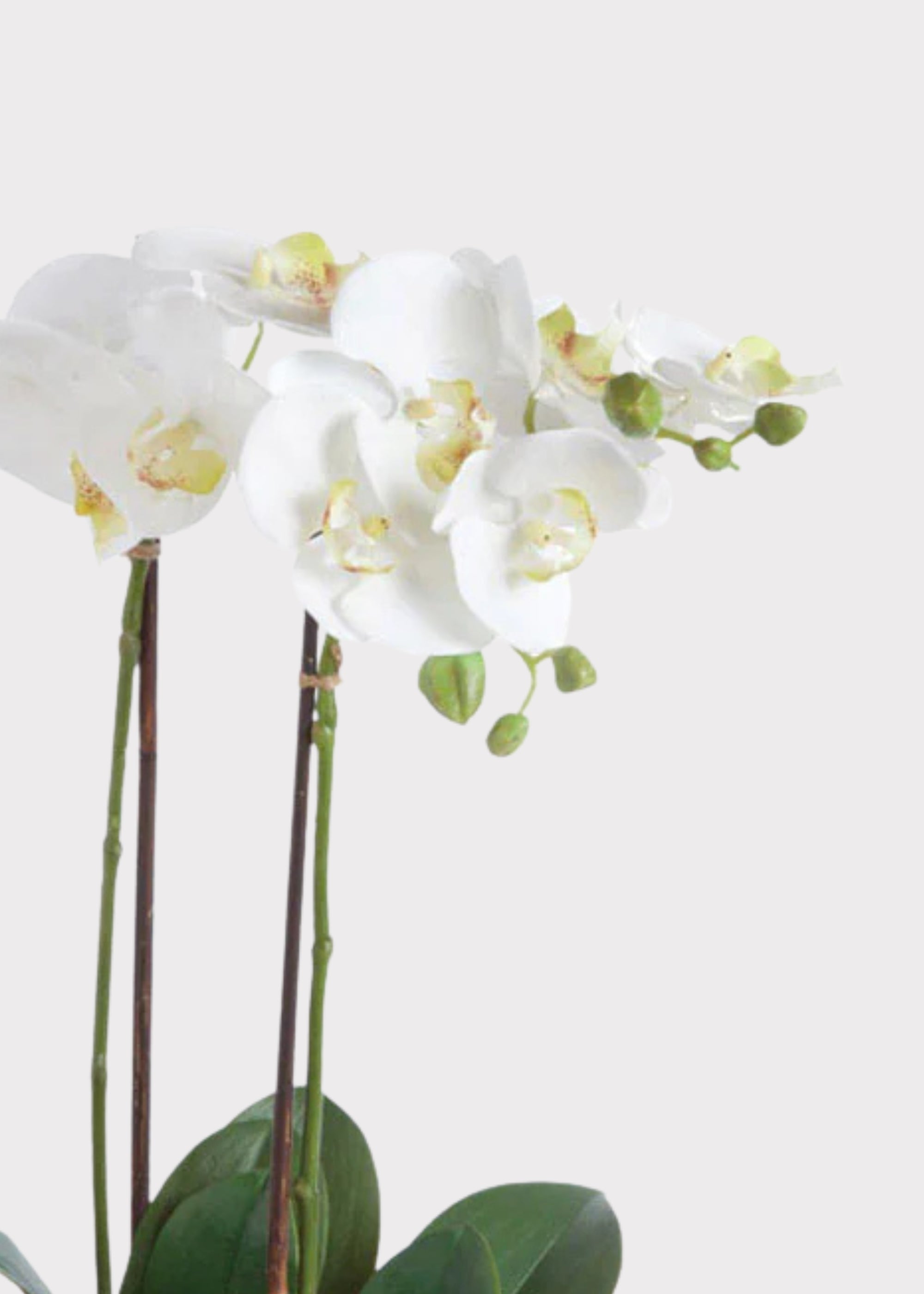 White Faux Orchid Plant for Planters and Shelves