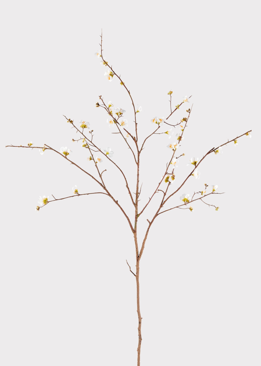 Cream Faux Cherry Blossom Branch for Vase Styling