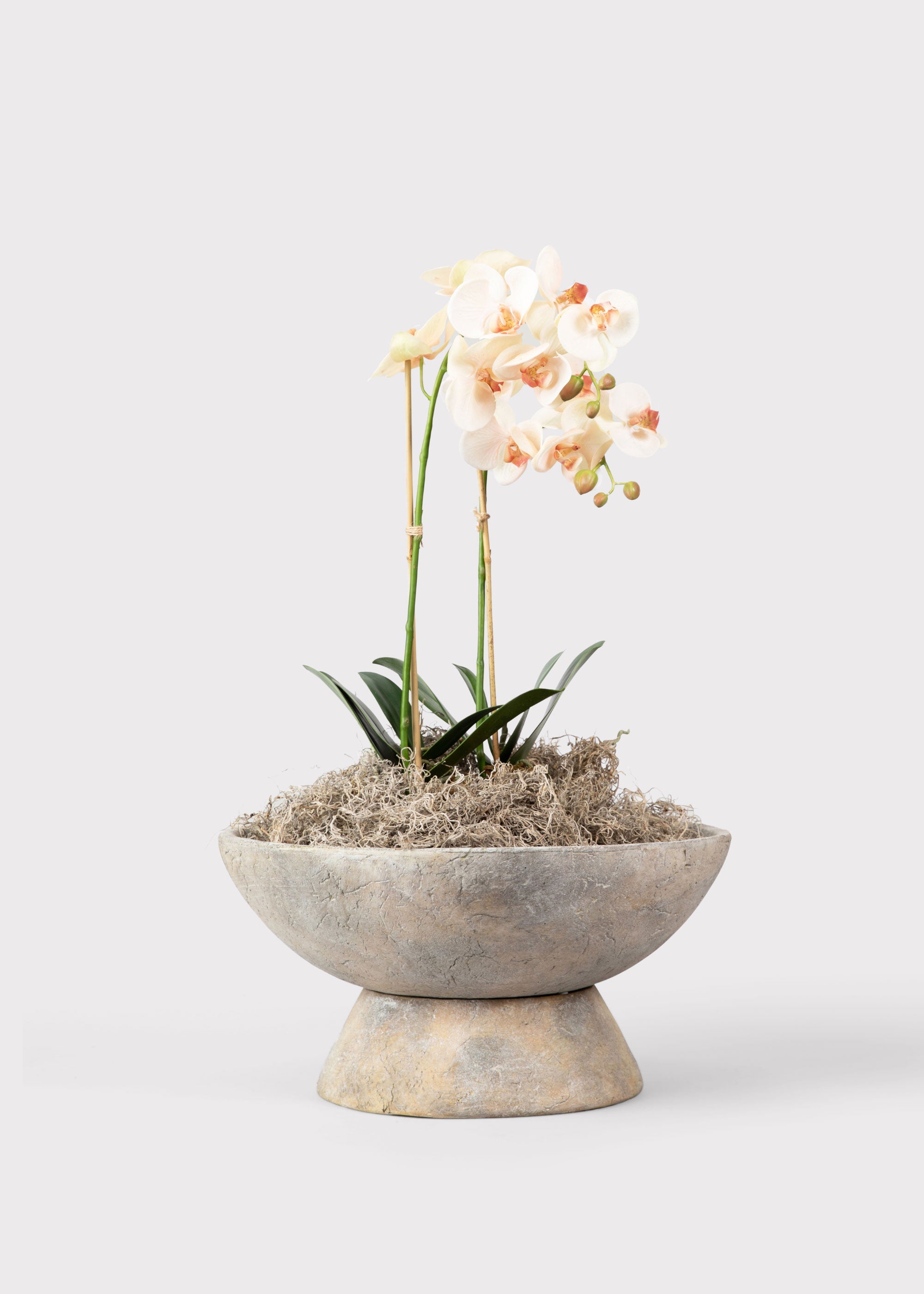 Blush Faux Orchid Plant for Planters and Shelves