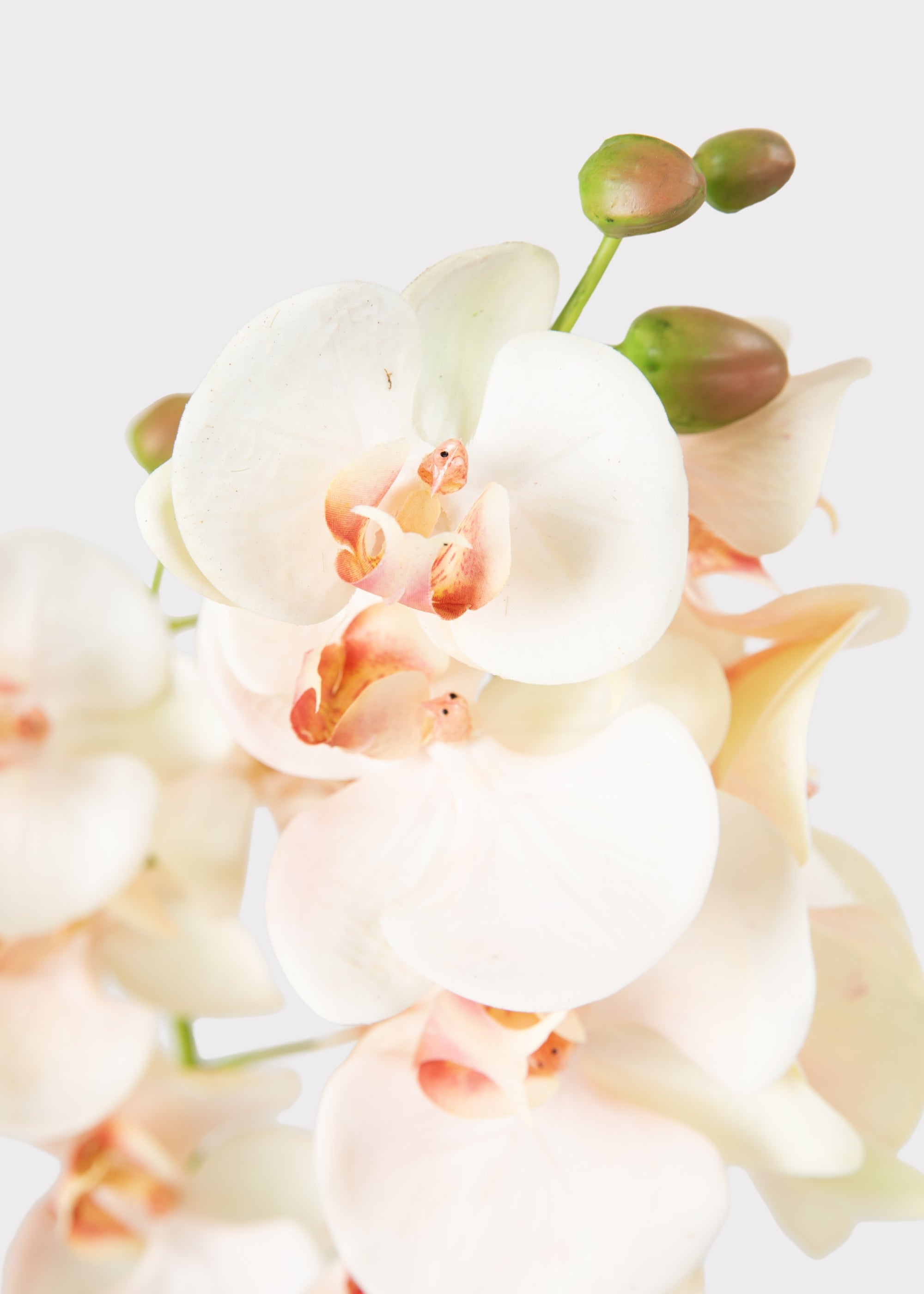 Blush Faux Orchid Plant for Planters and Shelves