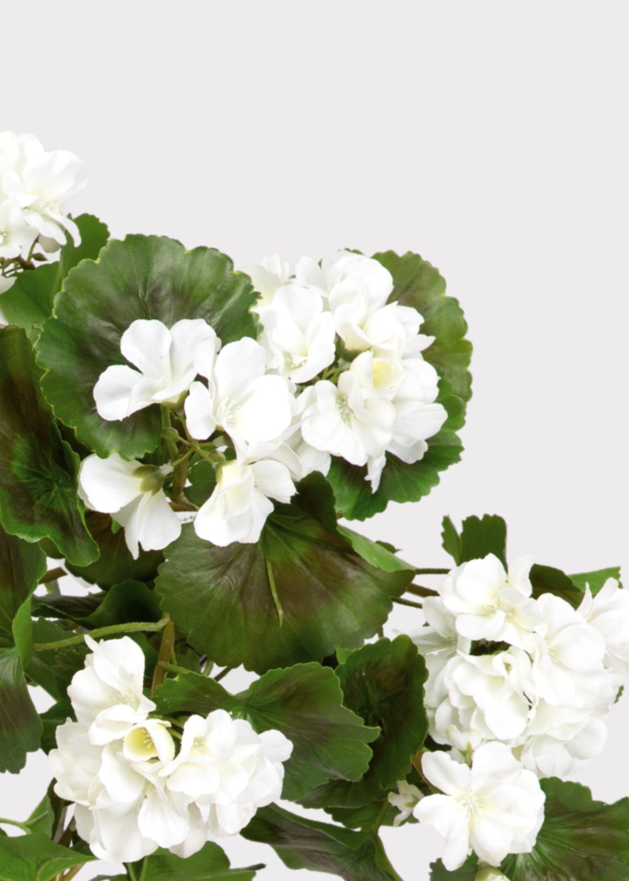 Faux Uv Treated Indoor/outdoor Geranium Hanging Bush for Vase Styling