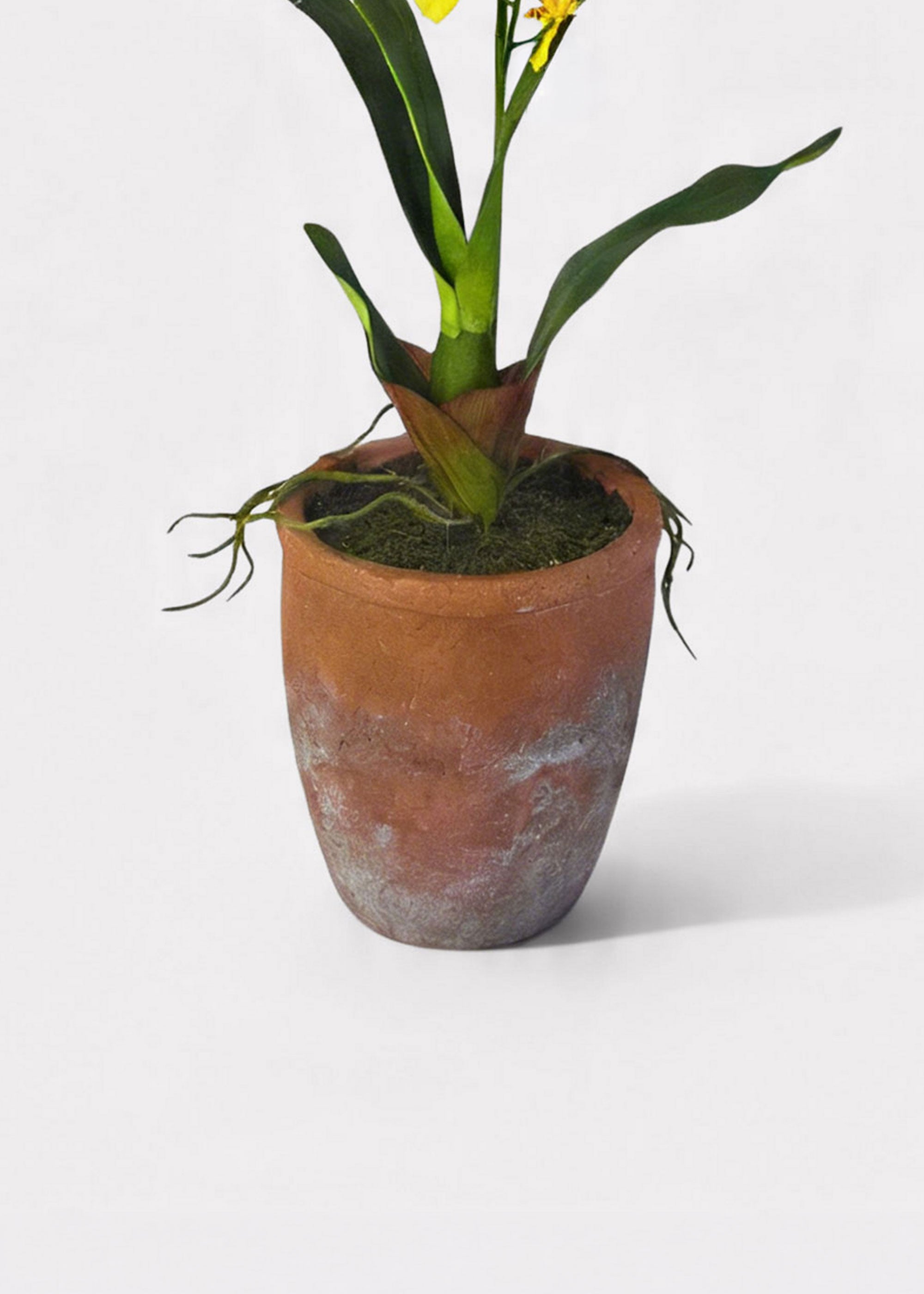 Yellow Faux Orchid Arrangement for Home Decor
