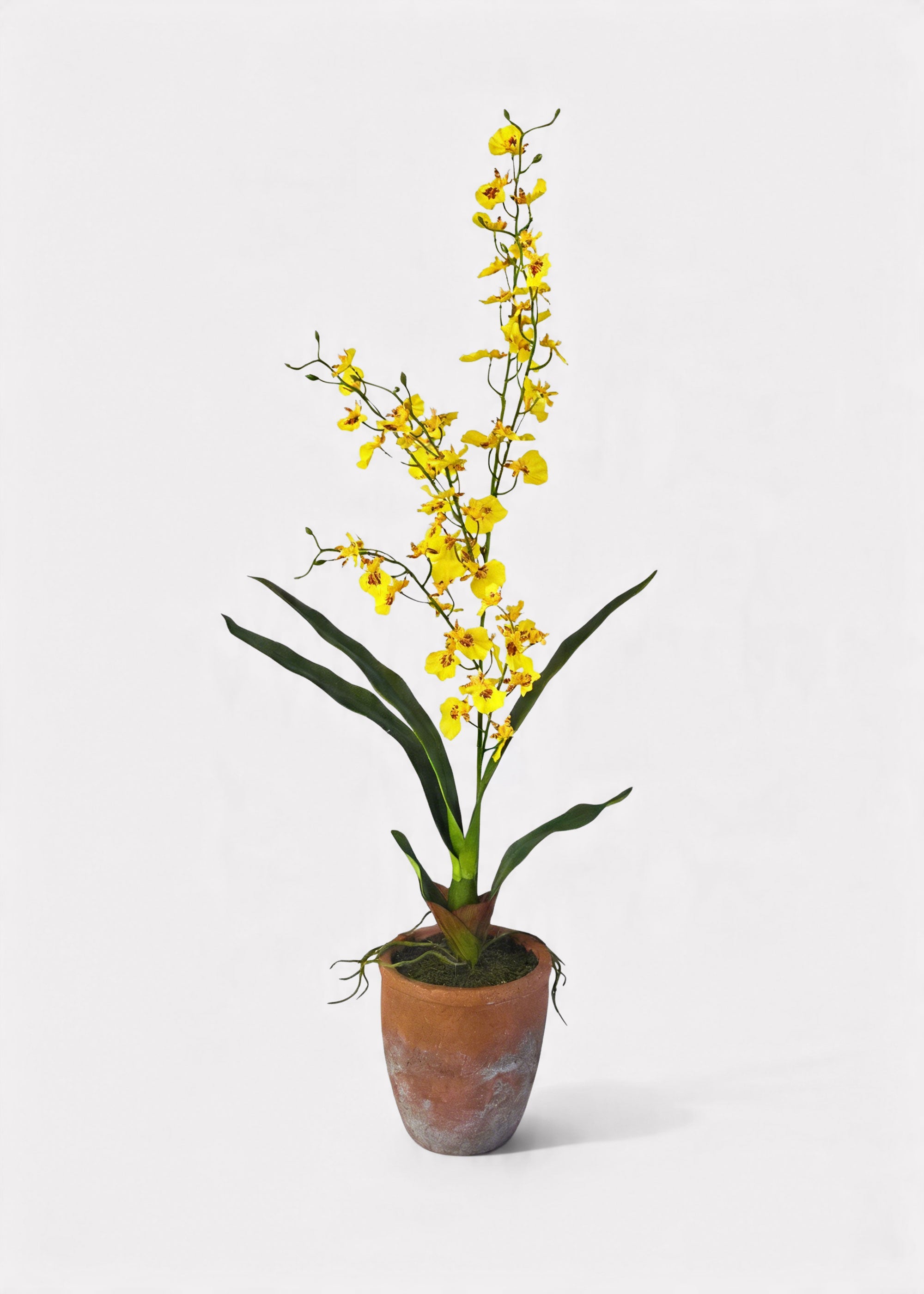 Yellow Faux Orchid Arrangement for Home Decor