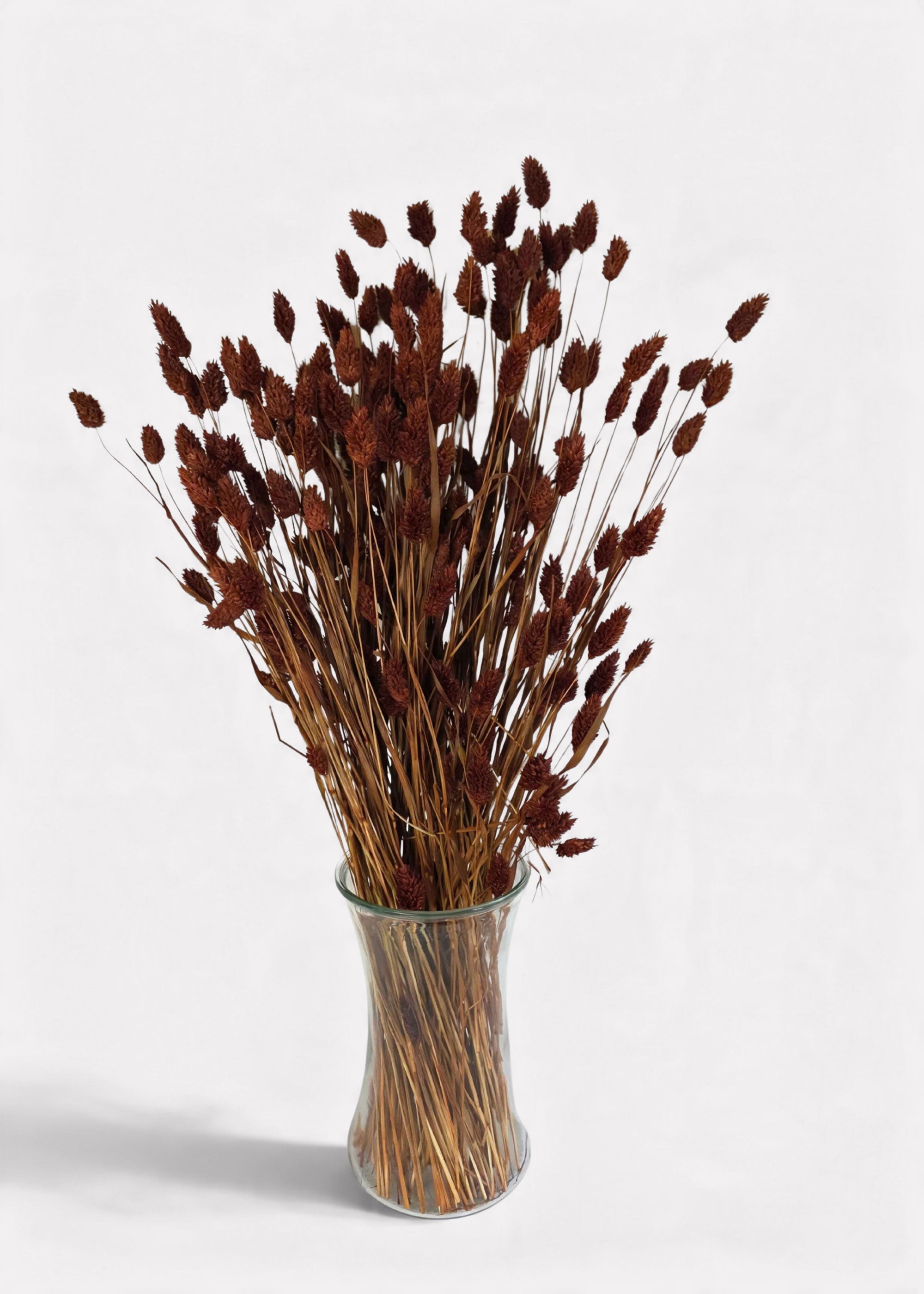 Burnt Brown Dried Grass Bundle for Vase and Wedding Styling