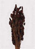 Chocolate Brown Dried Grass Bundle for Vase and Wedding Styling