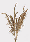 Dried Grass Bundle for Vase and Wedding Styling