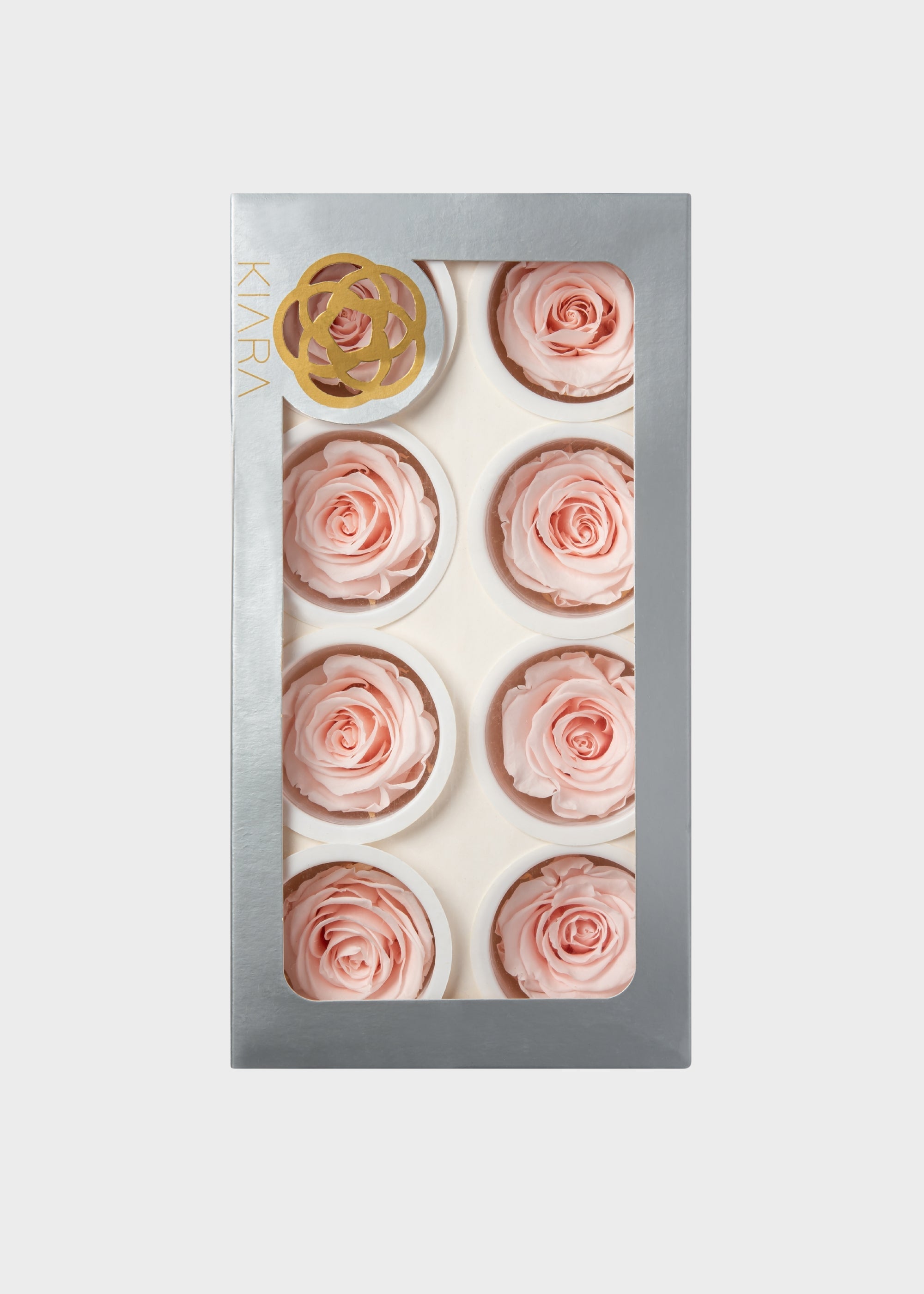 Beige Rose for Home Styling