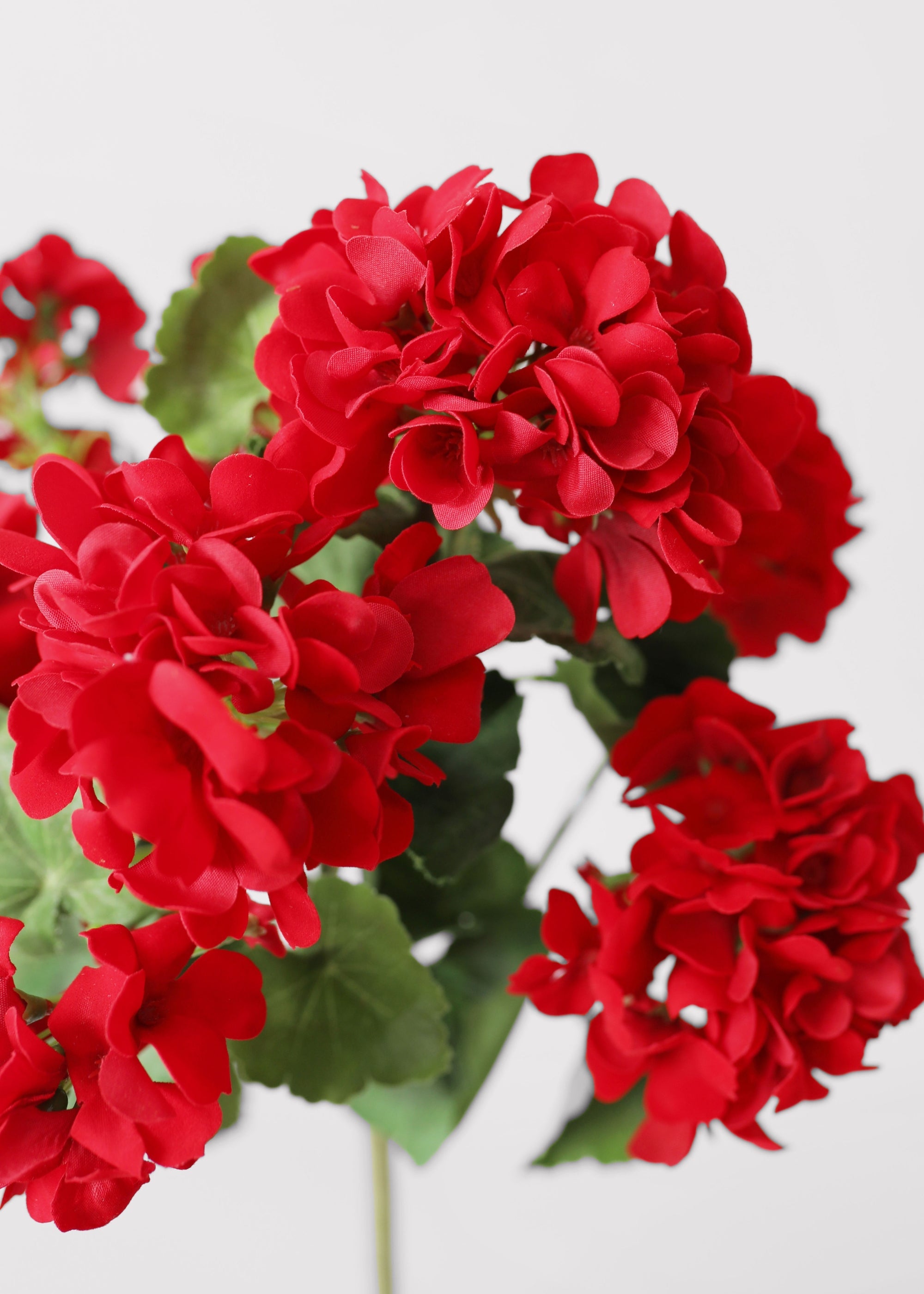 Faux Outdoor | Water Resistant Outdoor Red Geranium Bush for Vase Styling