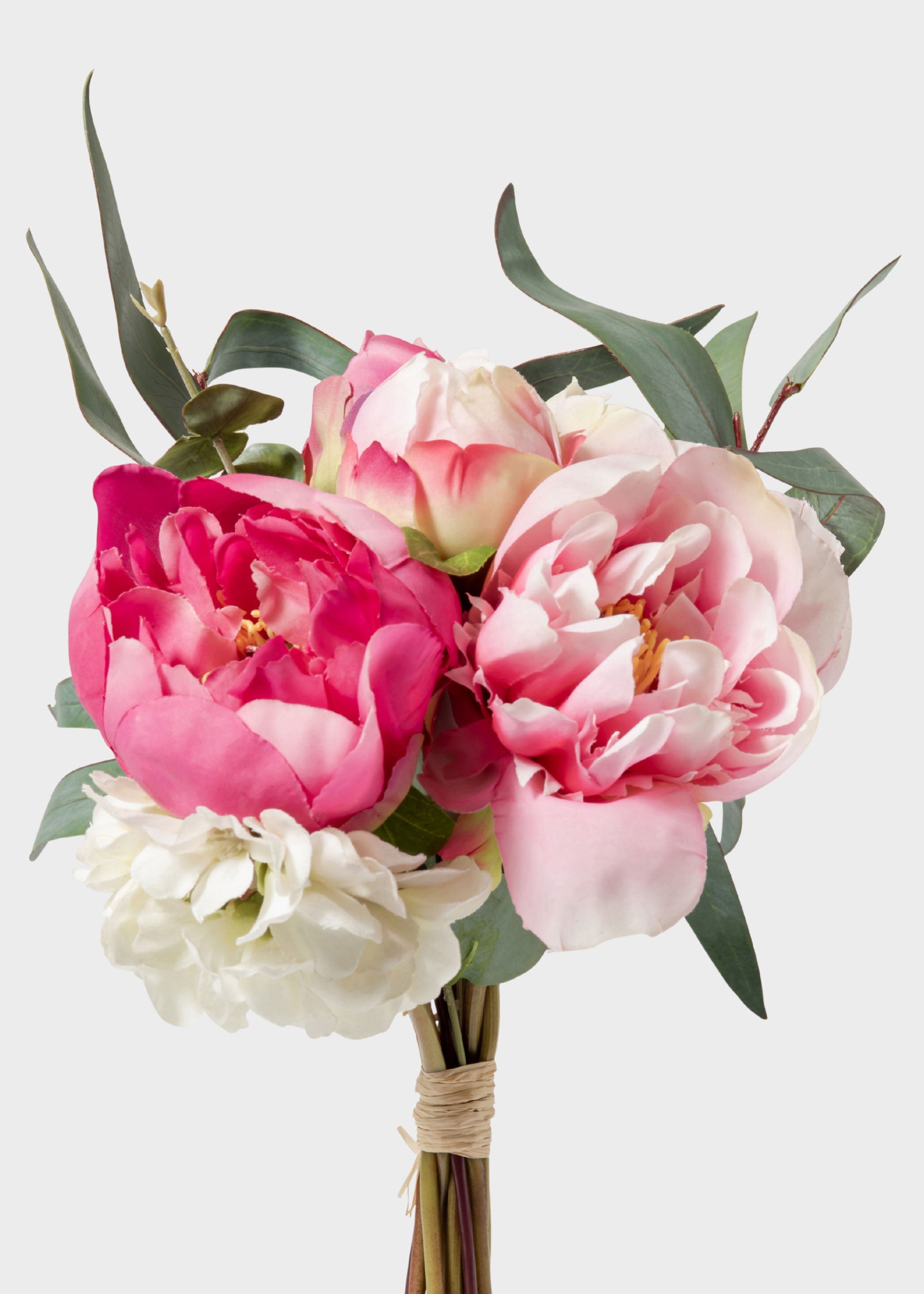 Cream Peony for Home Styling