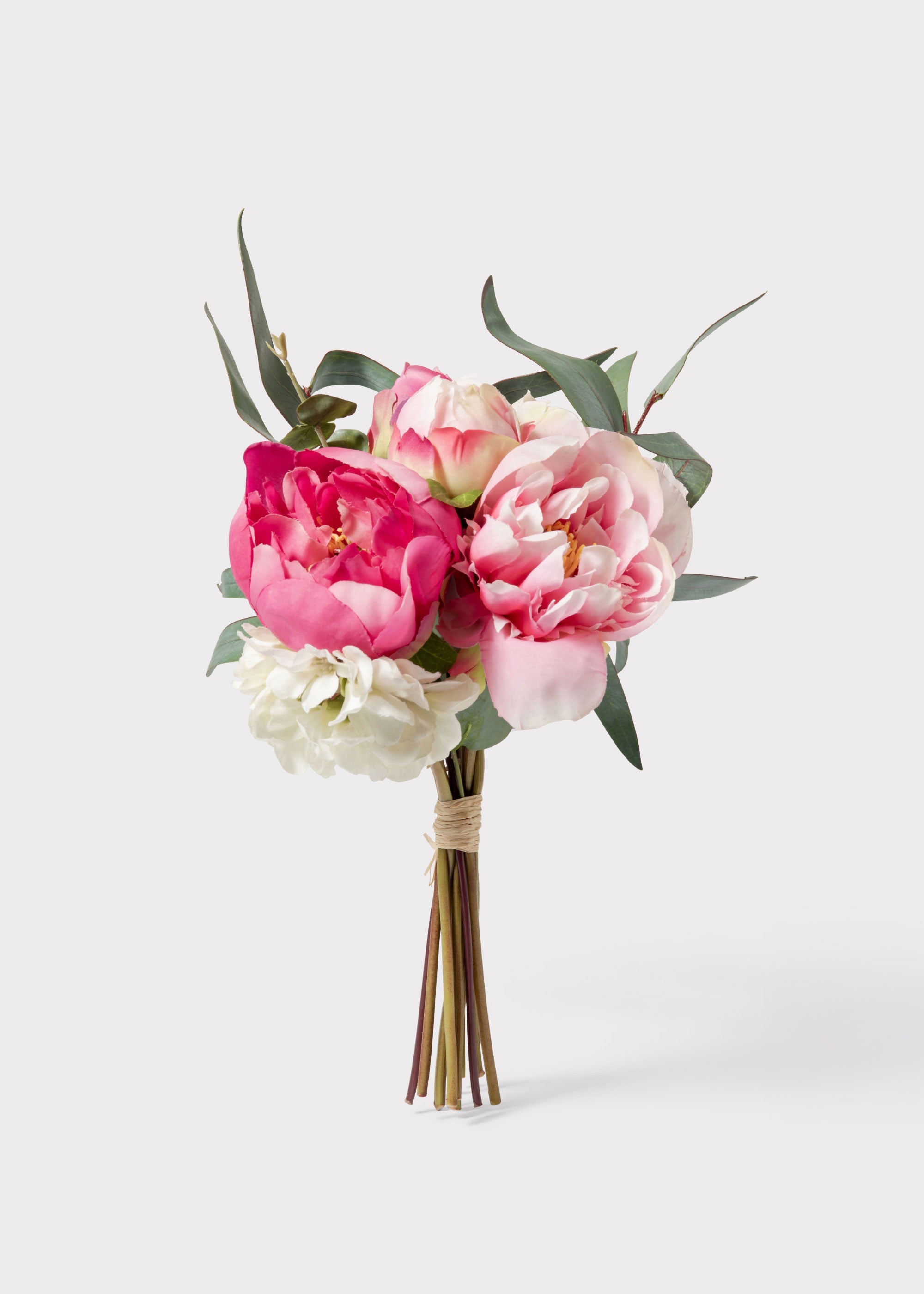 Cream Peony for Home Styling