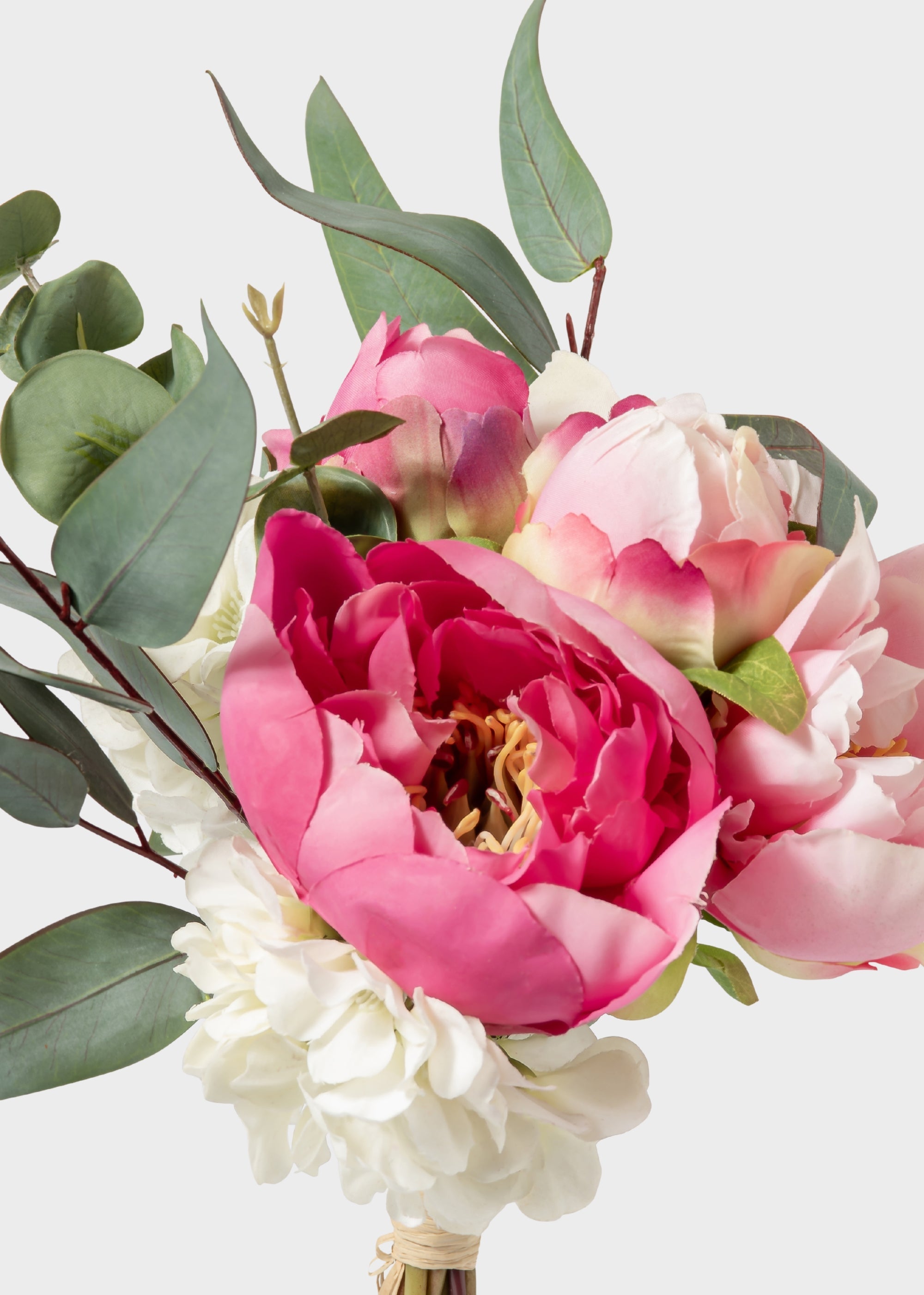 Cream Peony for Home Styling
