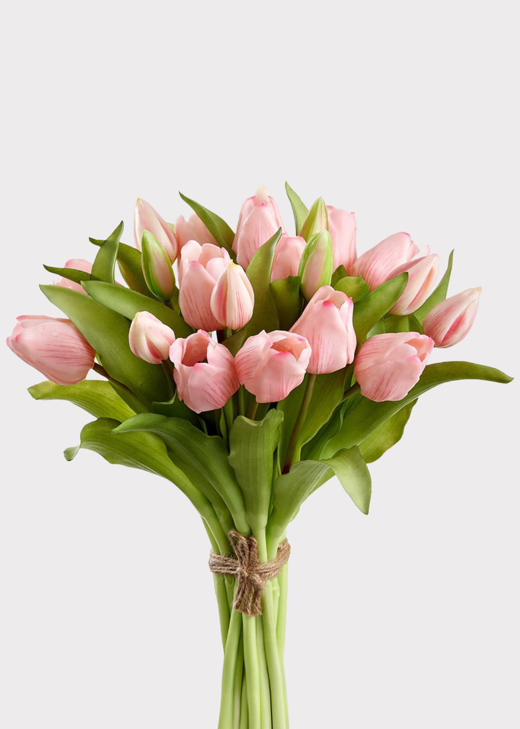 Pink Tulip for Home Styling