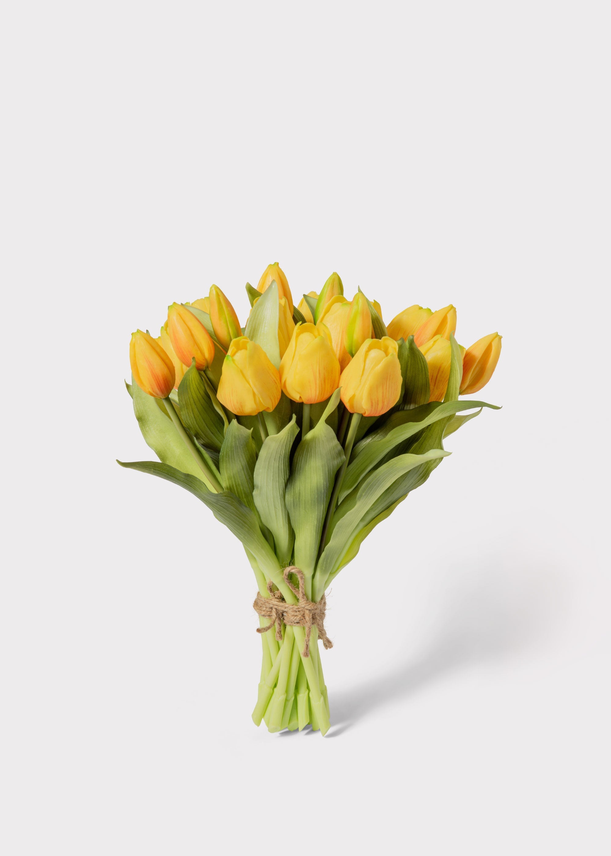 Yellow Tulip for Home Styling