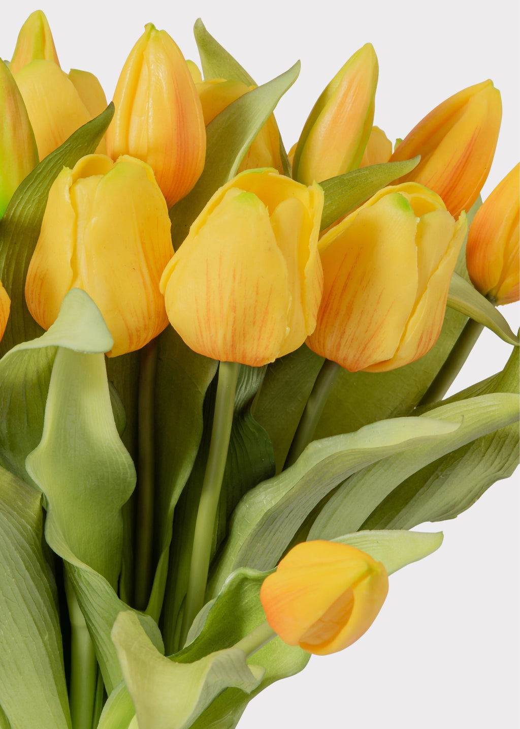 Yellow Tulip for Home Styling