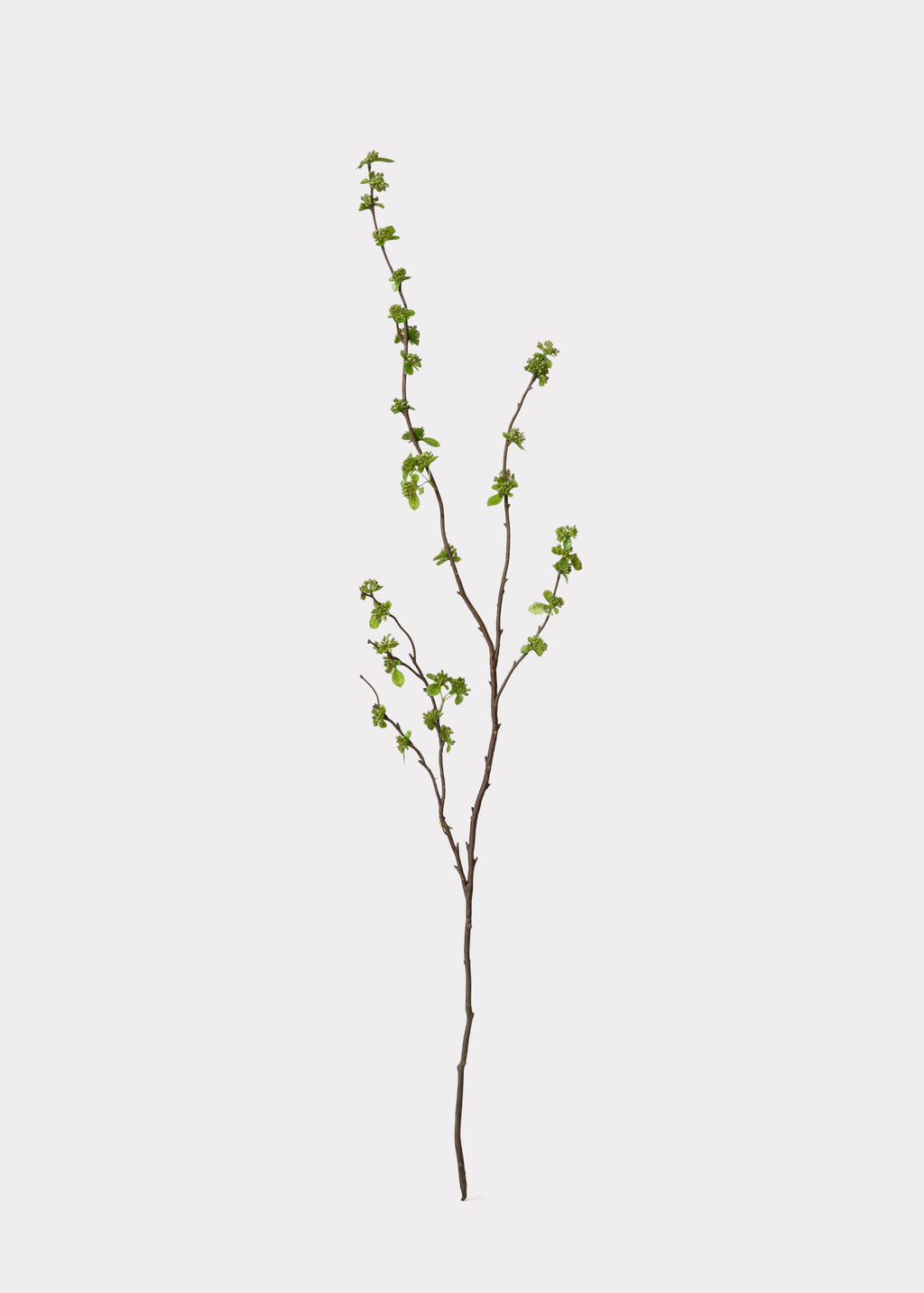 Faux With Green Buds Branch for Seasonal Vase Styling