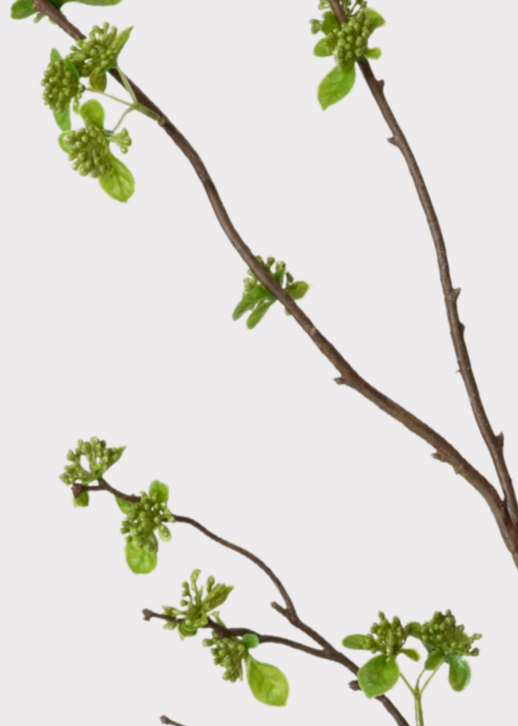 Faux With Green Buds Branch for Seasonal Vase Styling