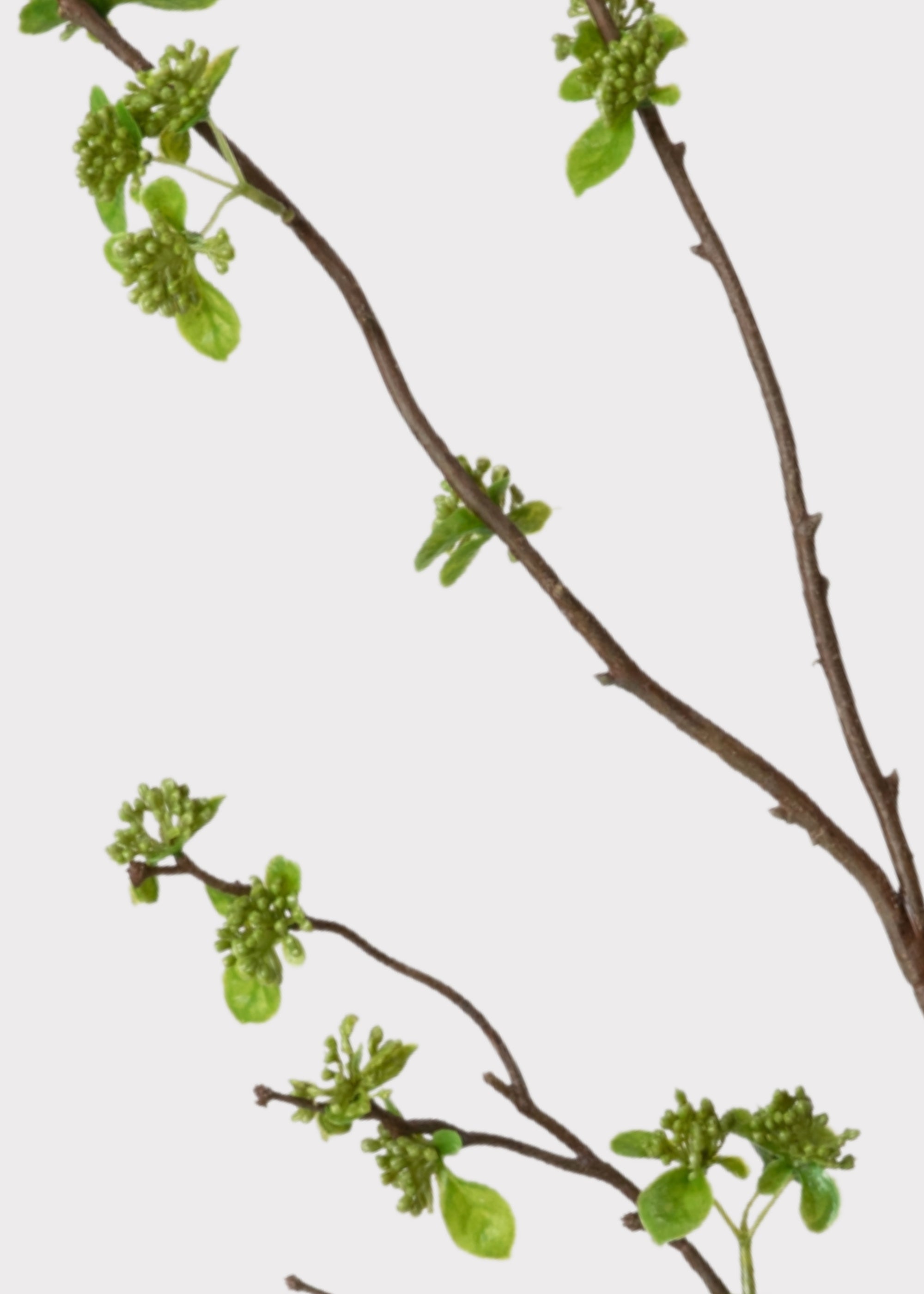 Faux With Green Buds Branch for Seasonal Vase Styling