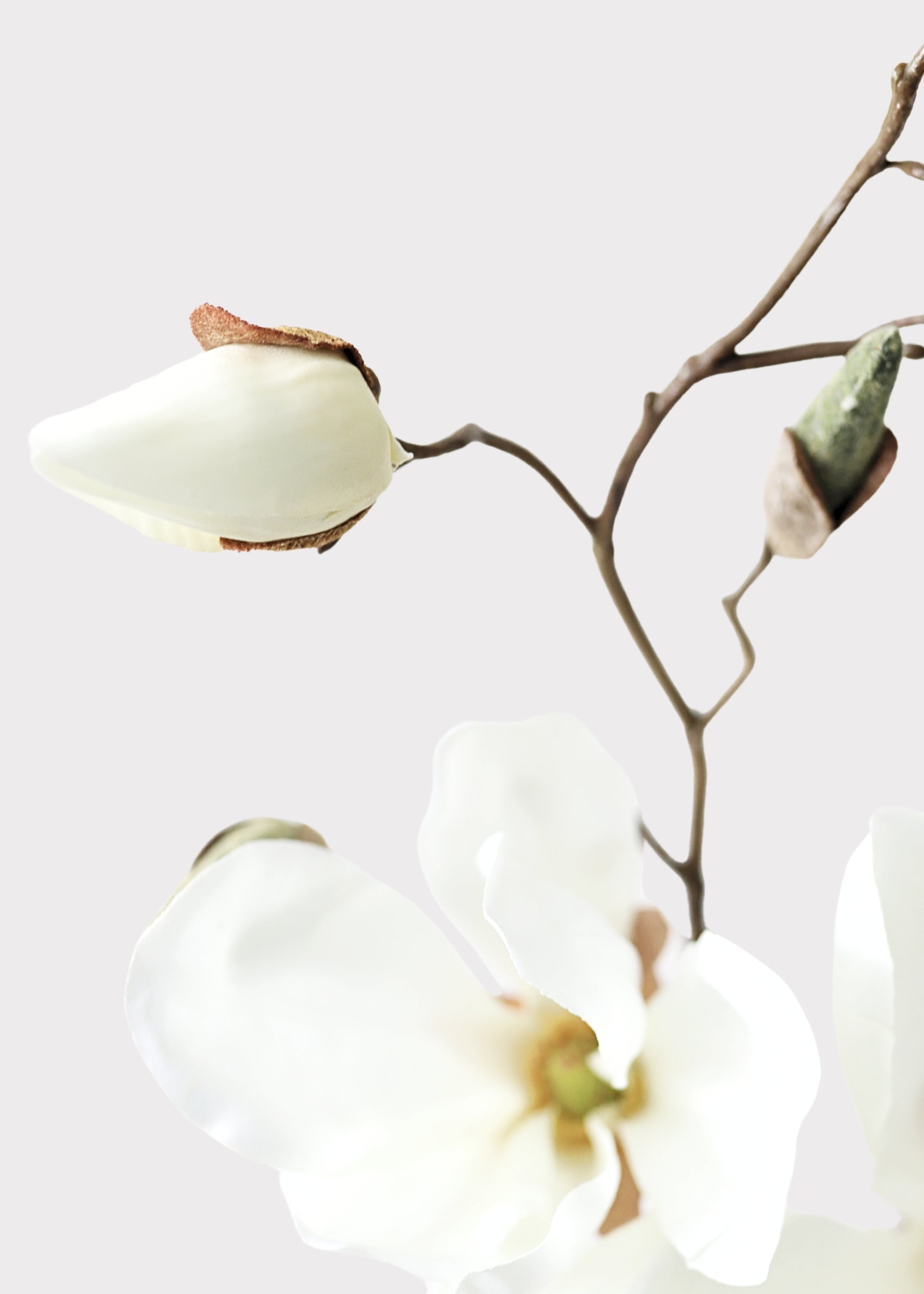 Cream Faux Magnolia Stem for Vase and Wedding Styling