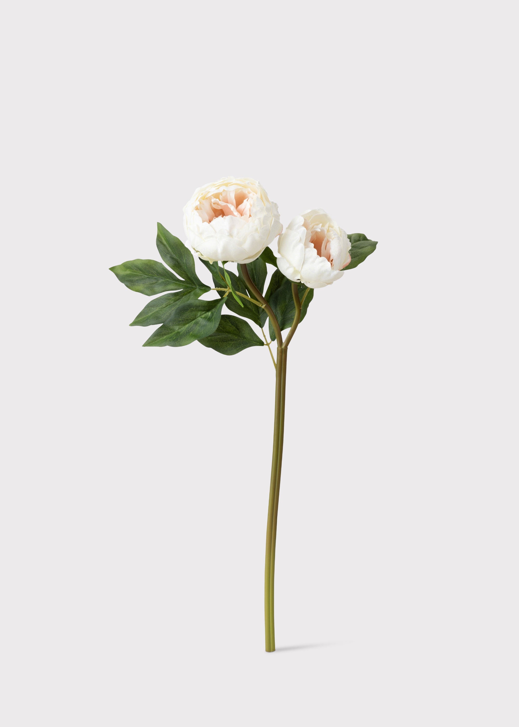 Cream Faux Peony Stem for Vase and Wedding Styling