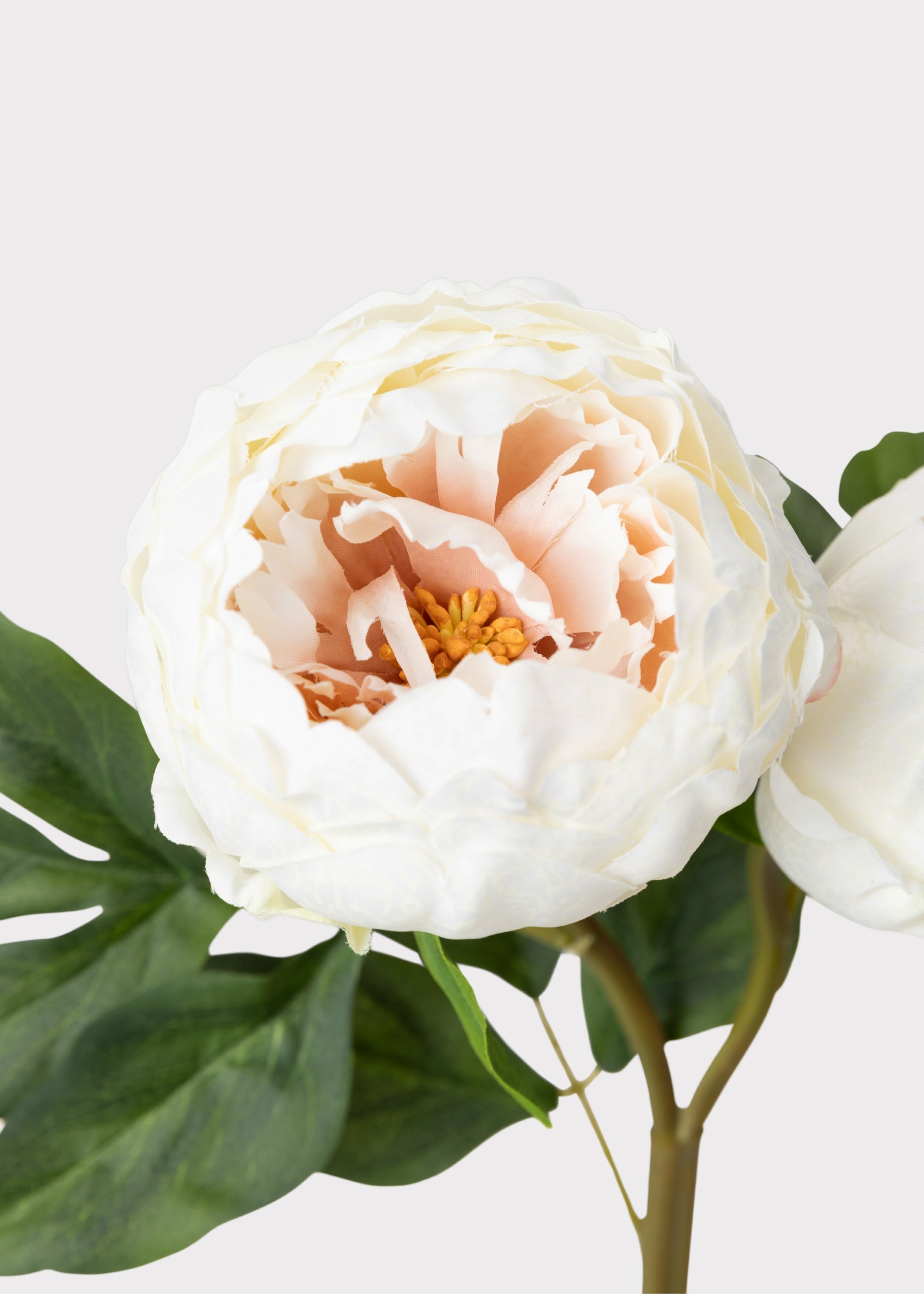 Cream Faux Peony Stem for Vase and Wedding Styling
