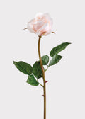 Blush Real Touch Rose Stem for Vase and Wedding Styling