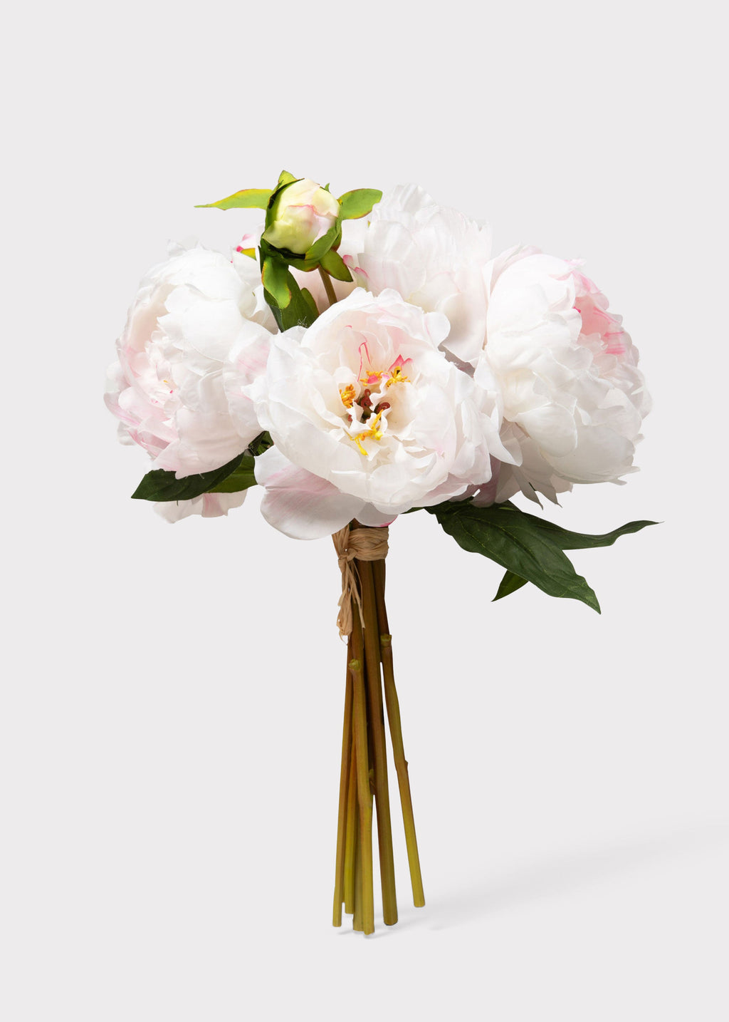 Cream Peony for Home Styling