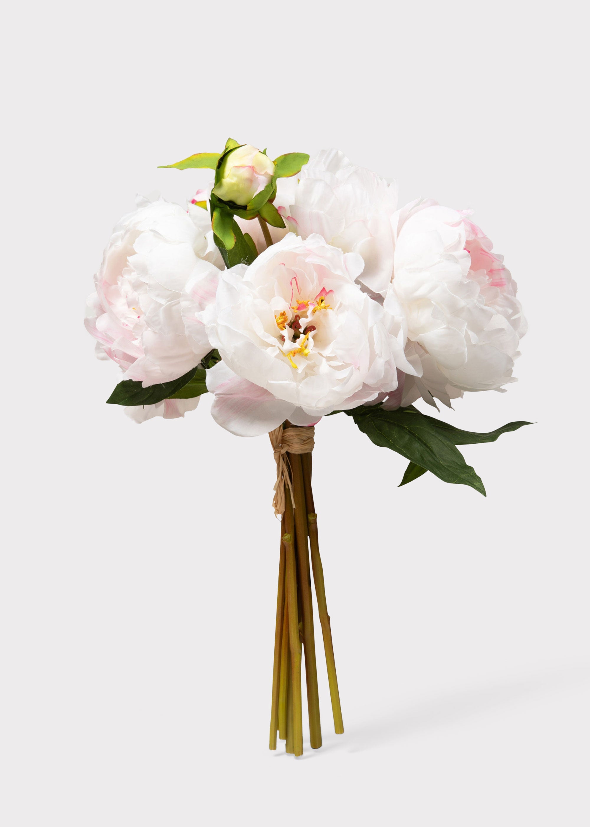 Cream Peony for Home Styling