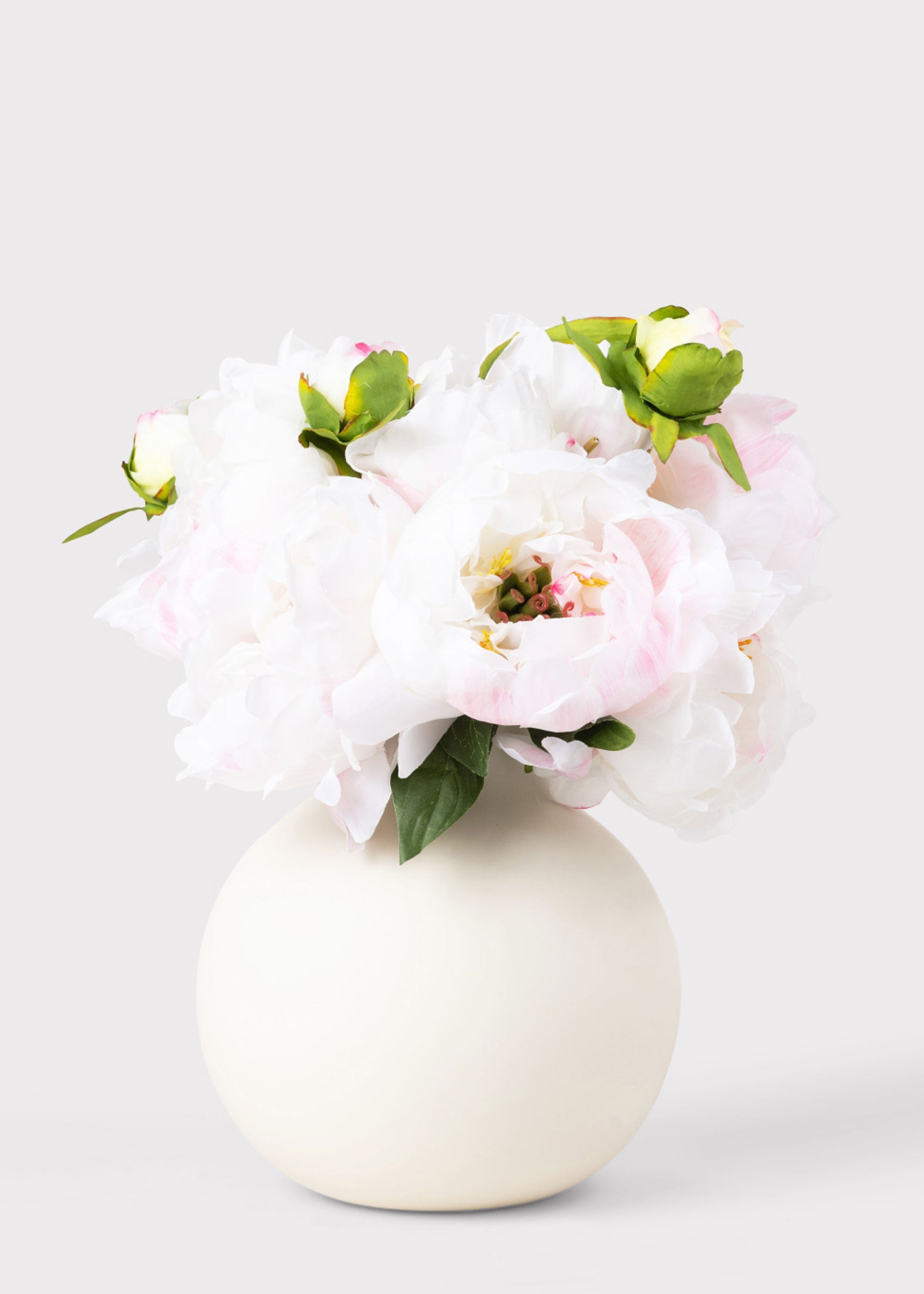 Cream Peony for Home Styling