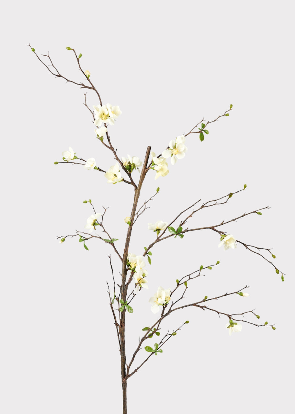 Cream Faux Cherry Blossom Branch for Vase Styling