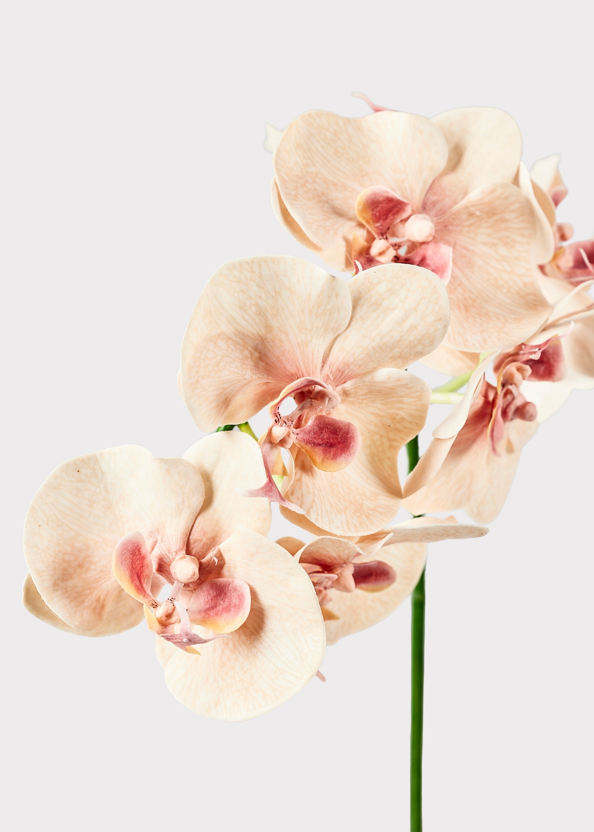 Peach Faux Orchid Stem for Vase and Wedding Styling